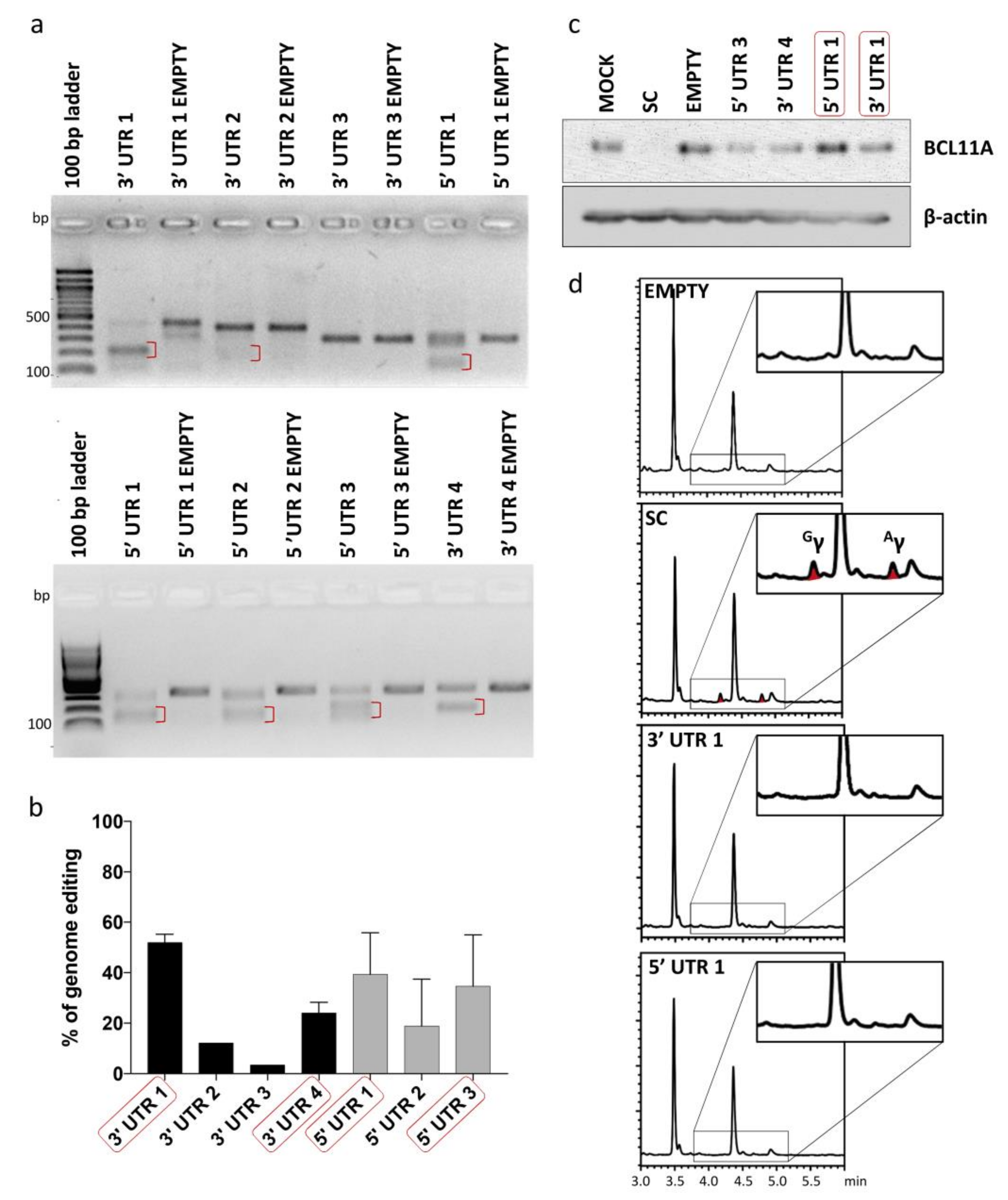 Ijms 23 01082 g003 Ijms 23 01082 g003