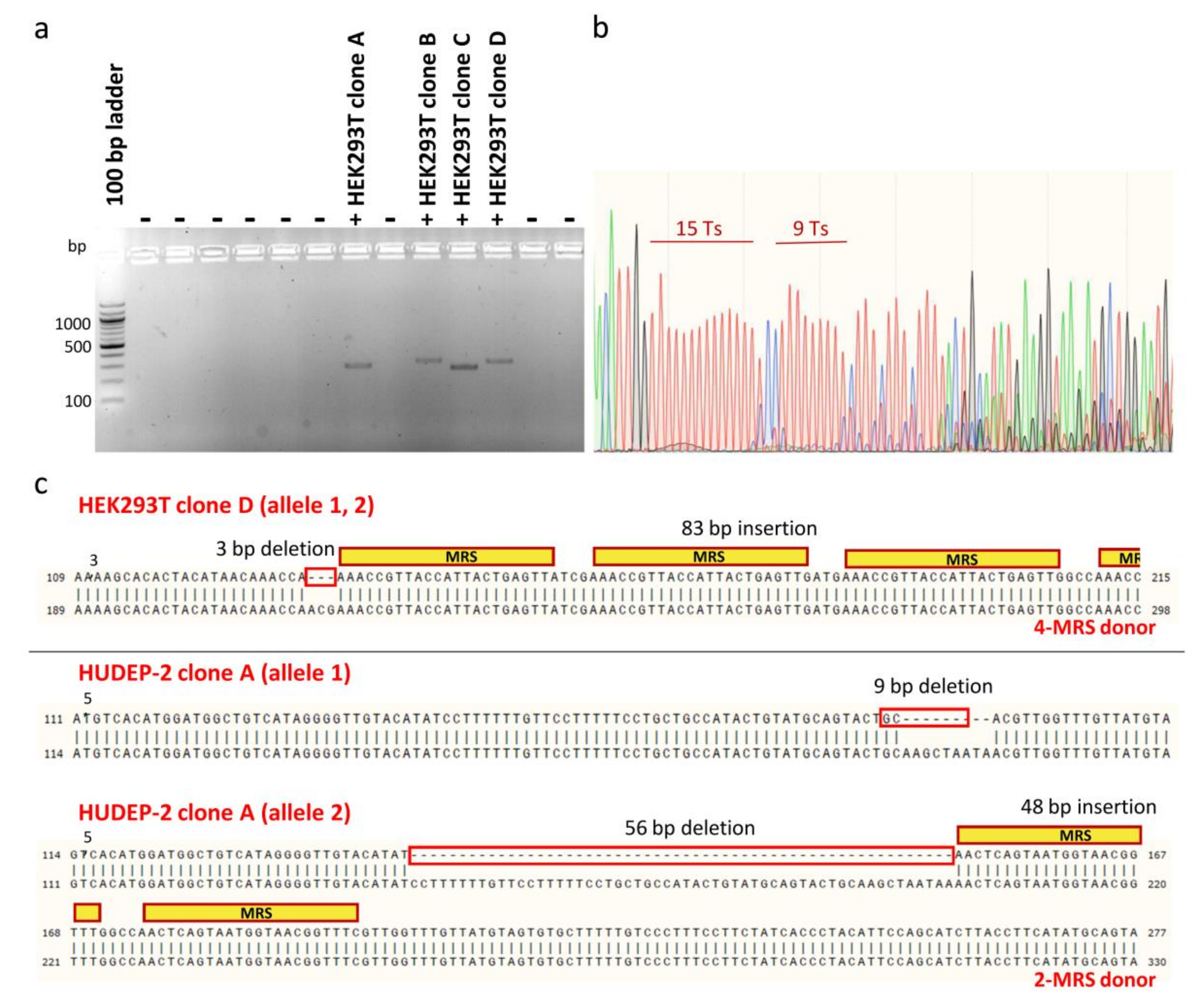 Ijms 23 01082 g007 Ijms 23 01082 g007