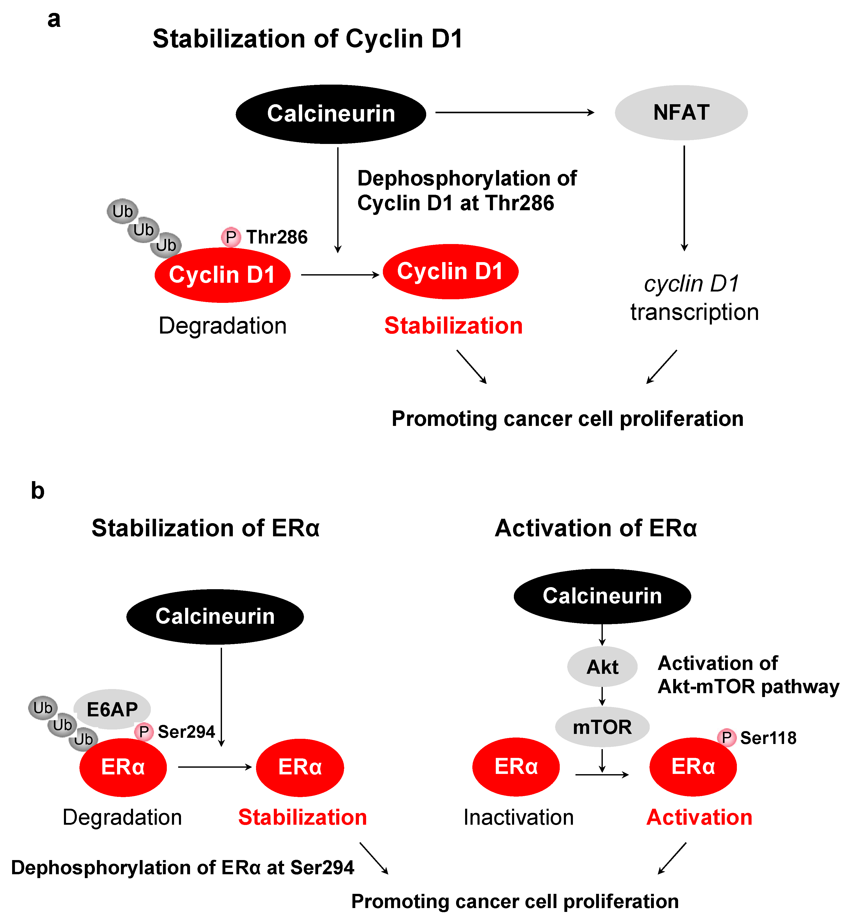 Ijms 23 01122 g002 Ijms 23 01122 g002