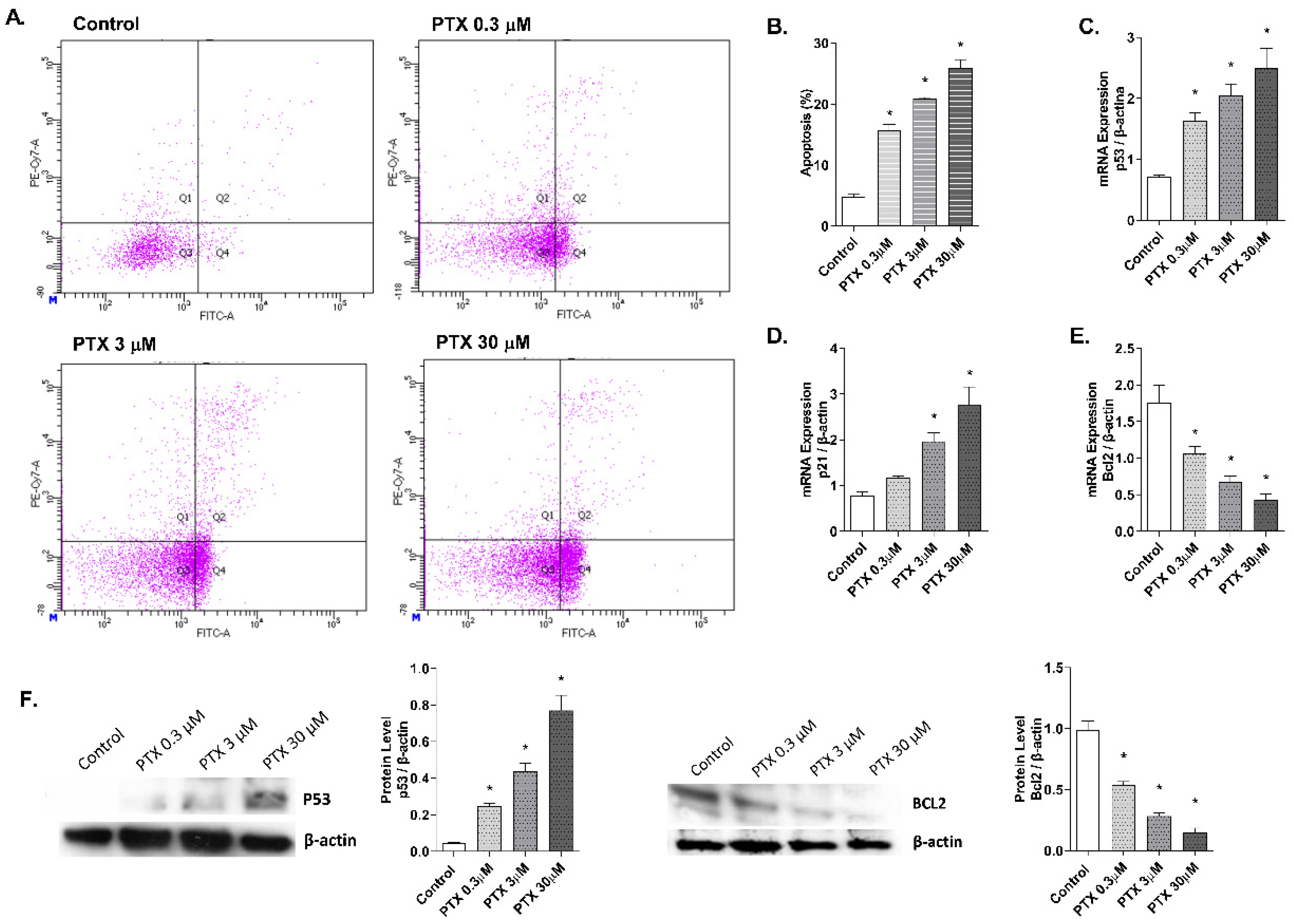 Ijms 23 01142 g004 Ijms 23 01142 g004