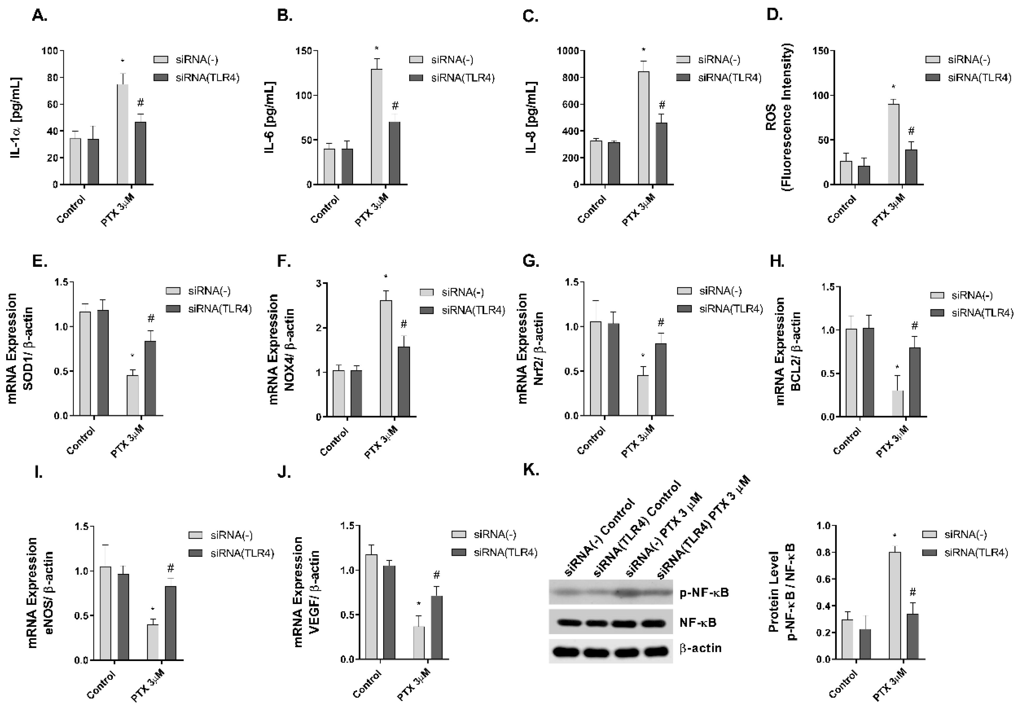 Ijms 23 01142 g007 Ijms 23 01142 g007