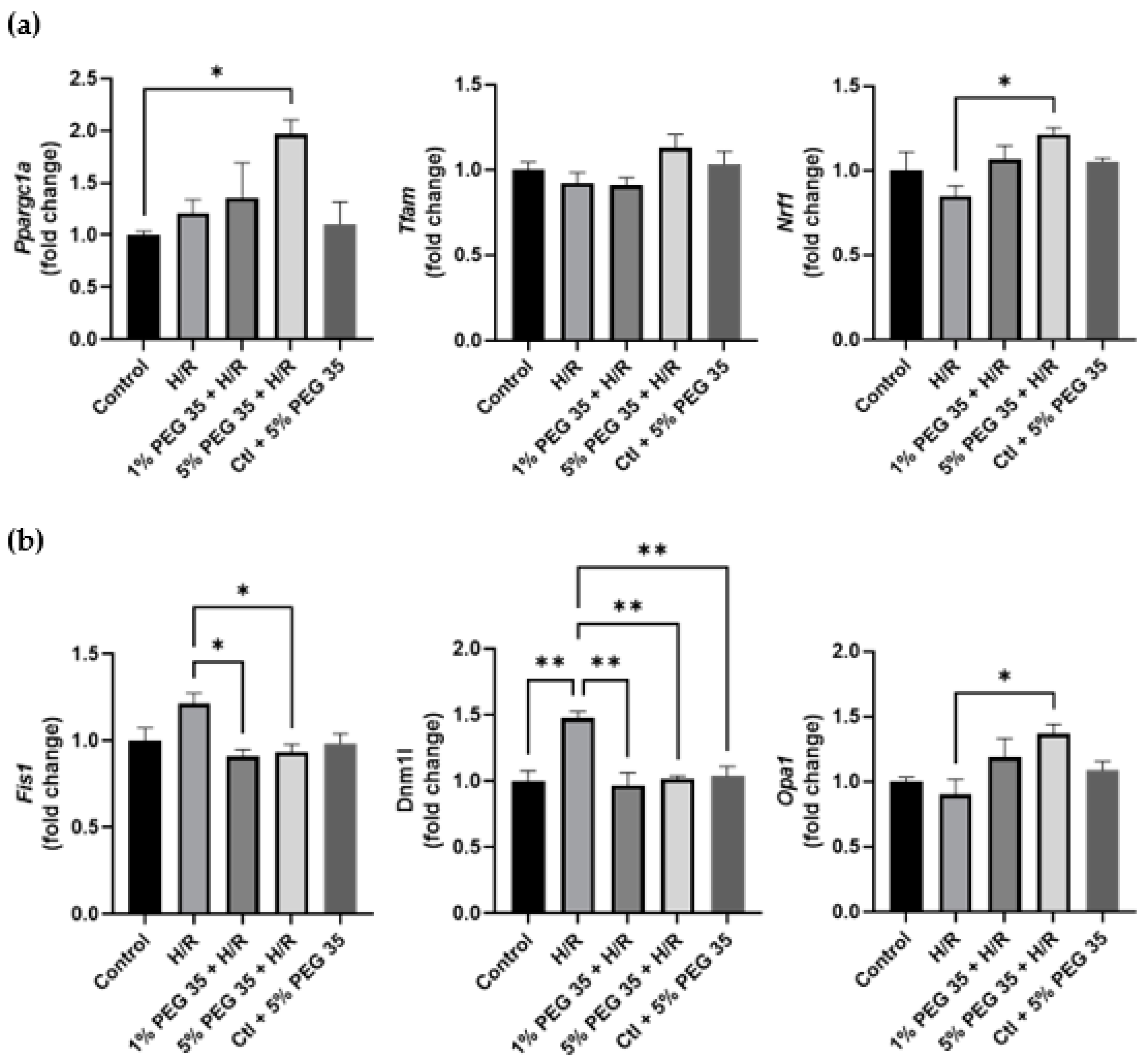Ijms 23 01156 g005 Ijms 23 01156 g005