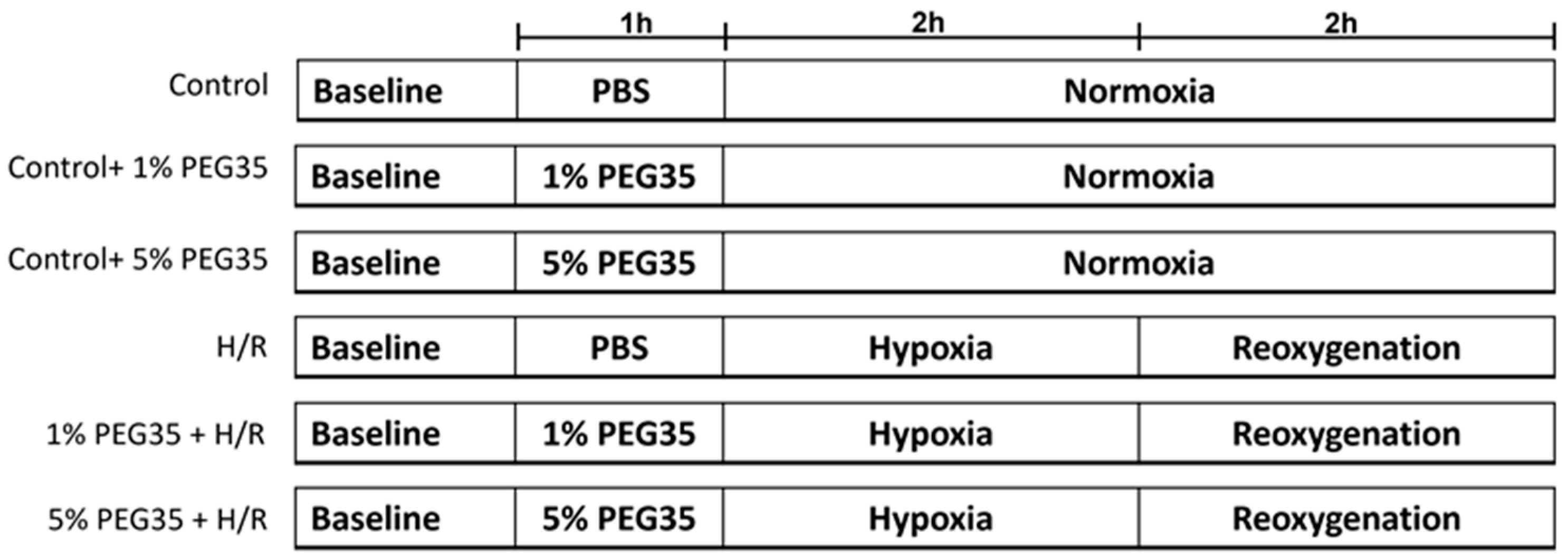 Ijms 23 01156 g007 Ijms 23 01156 g007