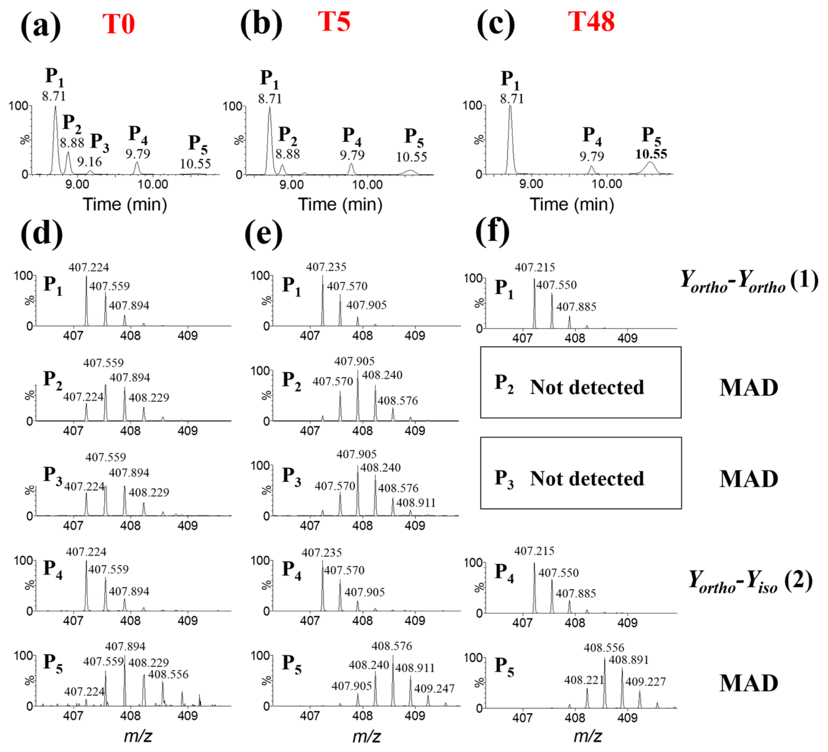 Ijms 23 01174 g002 Ijms 23 01174 g002