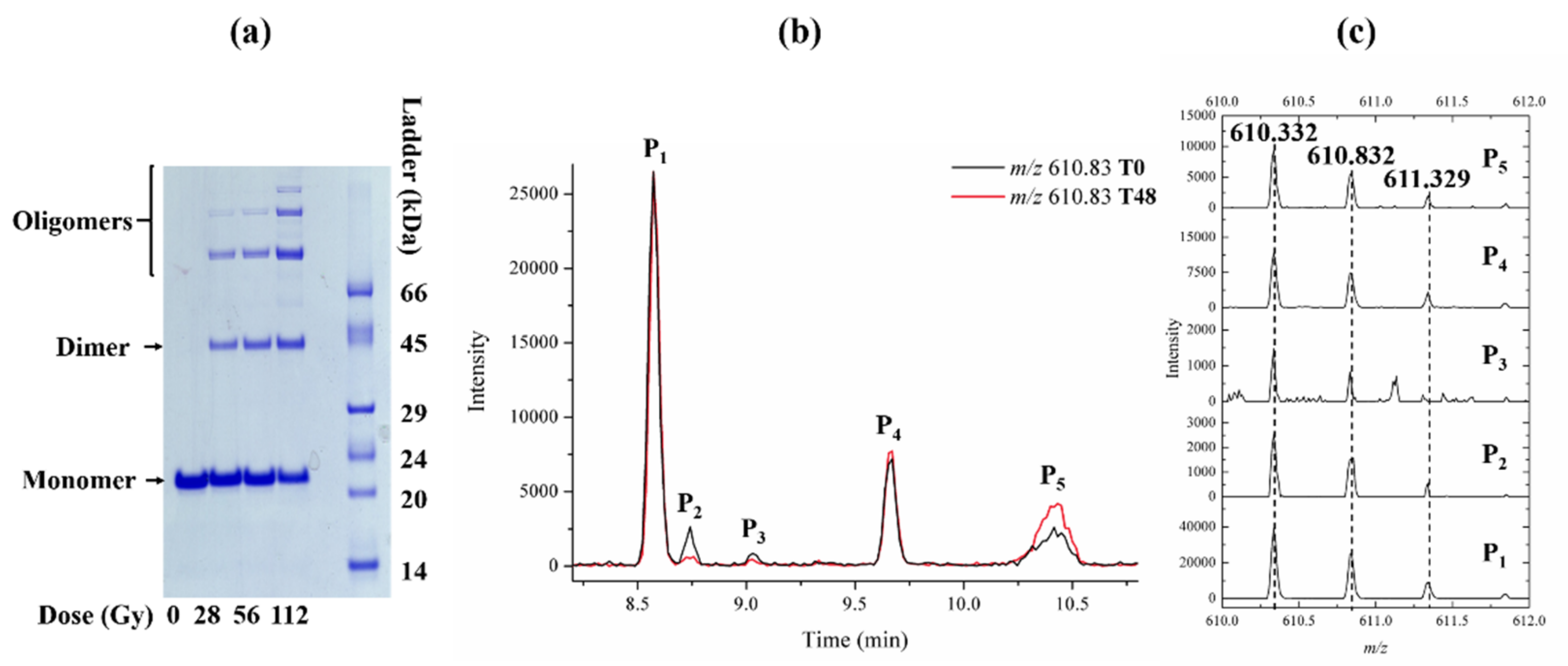 Ijms 23 01174 g003 Ijms 23 01174 g003