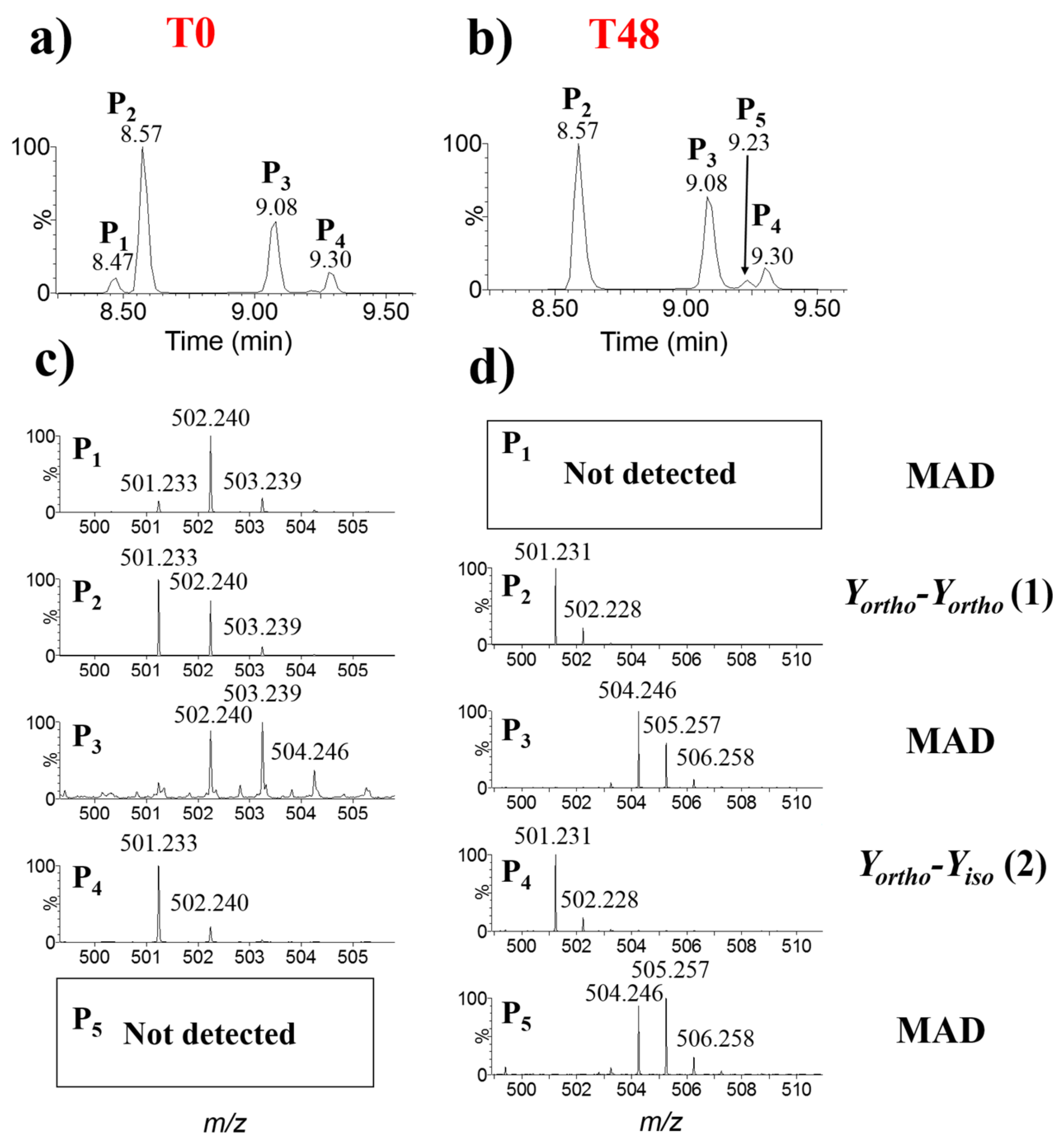 Ijms 23 01174 g004 Ijms 23 01174 g004