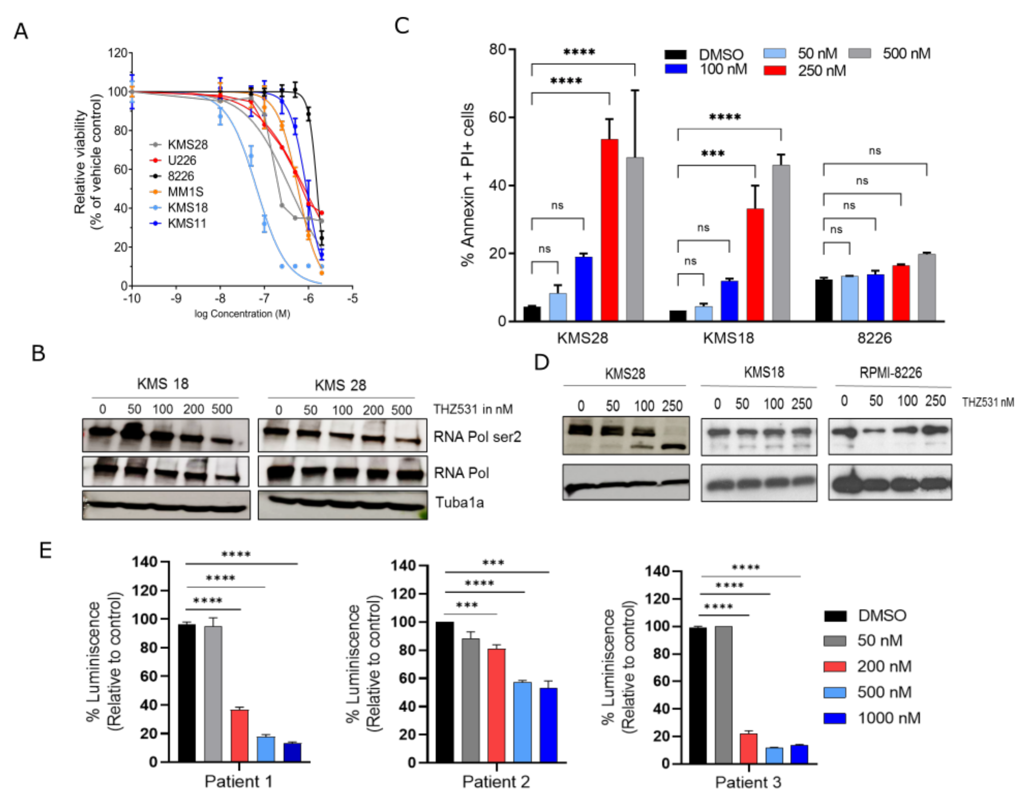 Ijms 23 01207 g001 Ijms 23 01207 g001