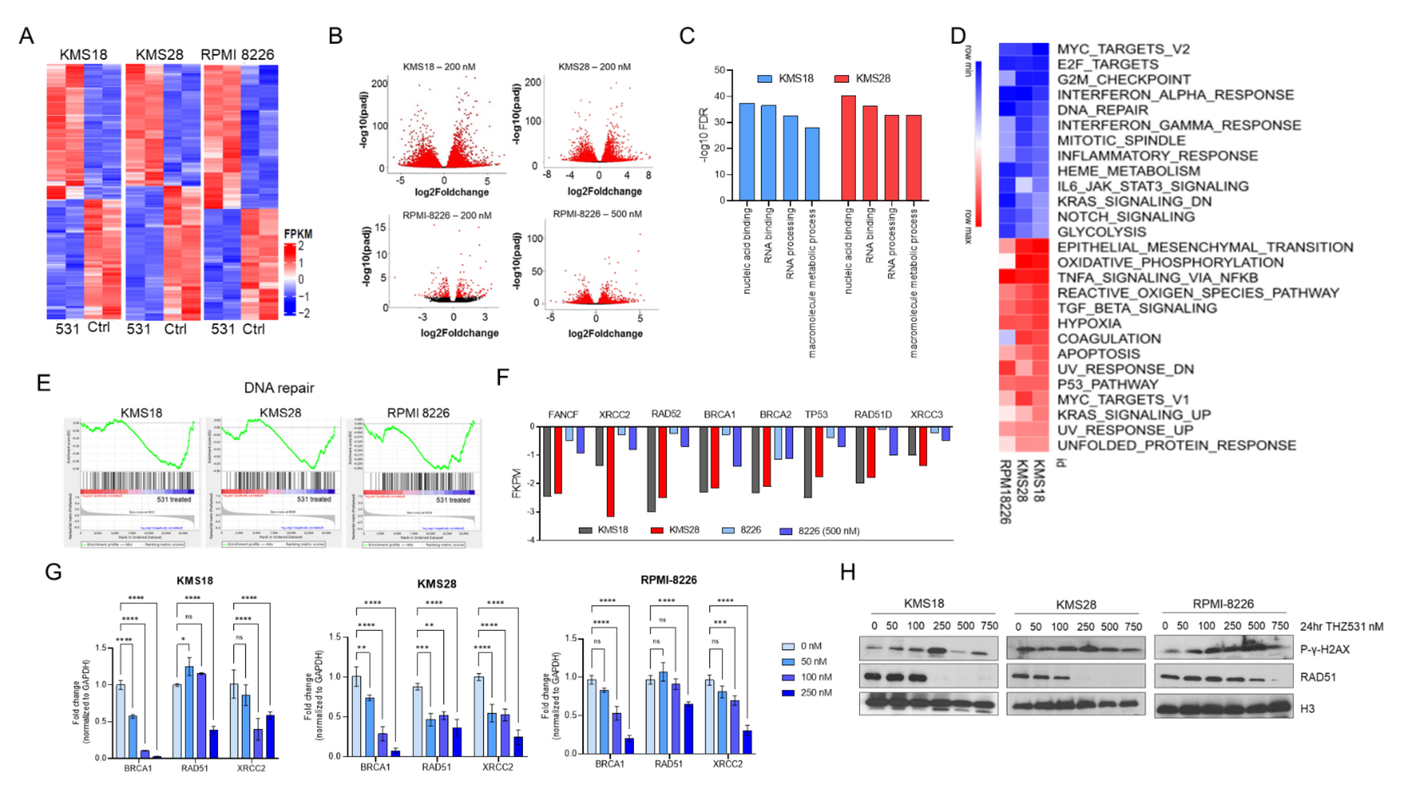 Ijms 23 01207 g002 Ijms 23 01207 g002