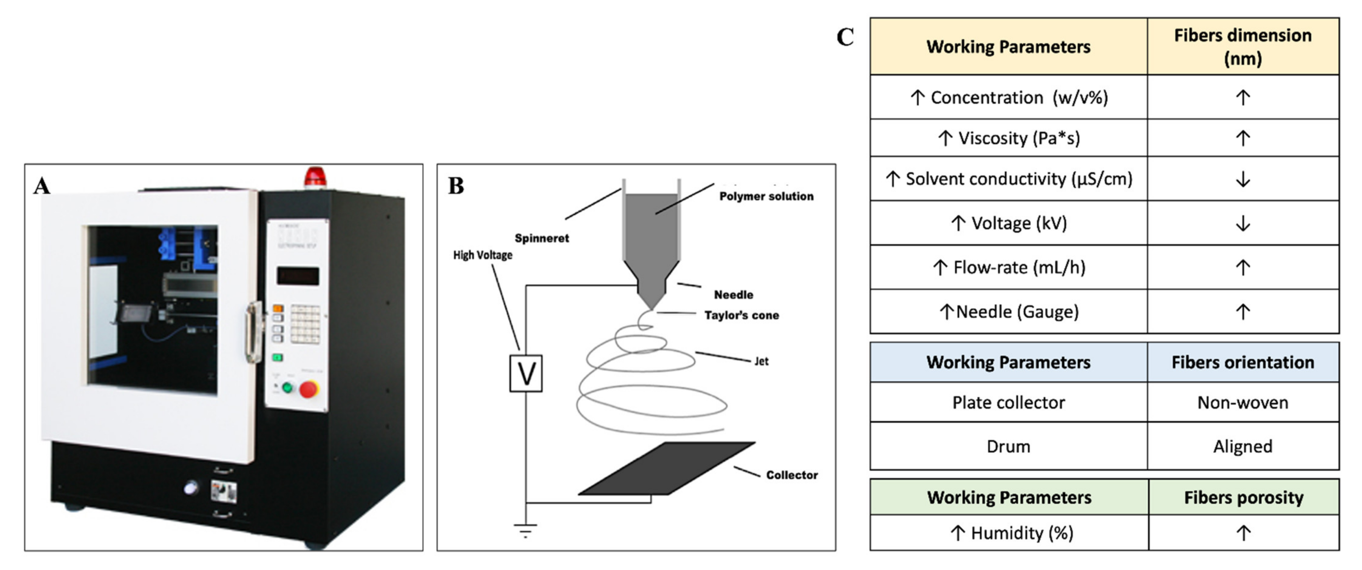 Ijms 23 01290 g004 Ijms 23 01290 g004