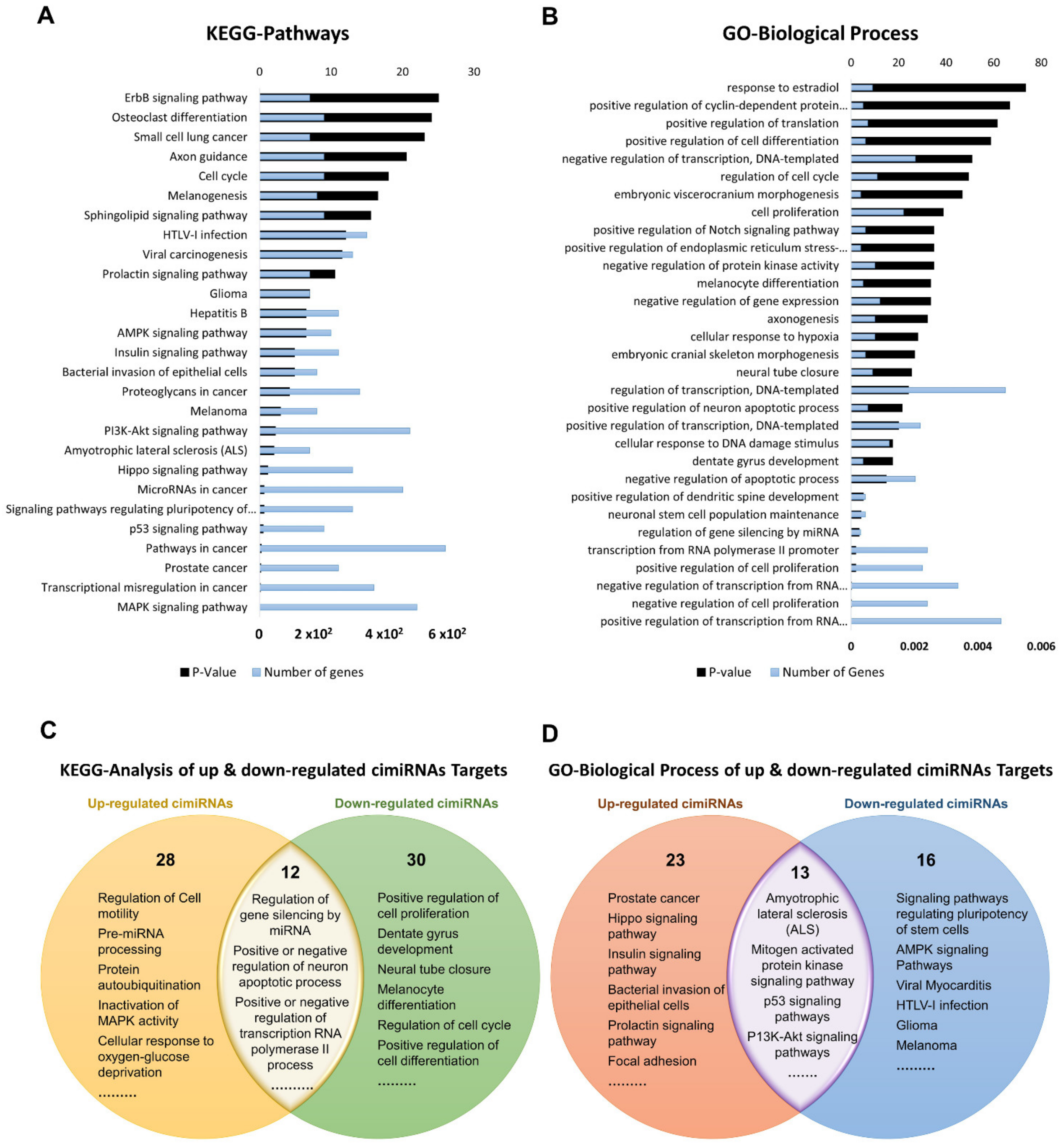 Ijms 23 01294 g004 Ijms 23 01294 g004