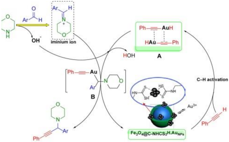 Ijms 23 01317 g003 Ijms 23 01317 g003