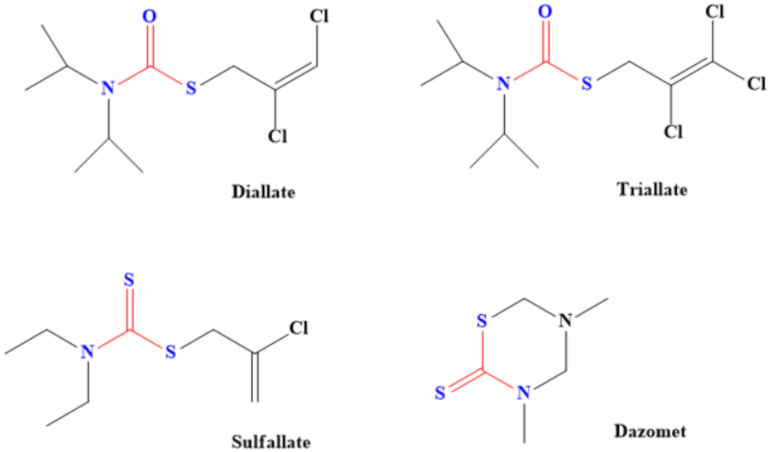 Ijms 23 01317 g006 Ijms 23 01317 g006
