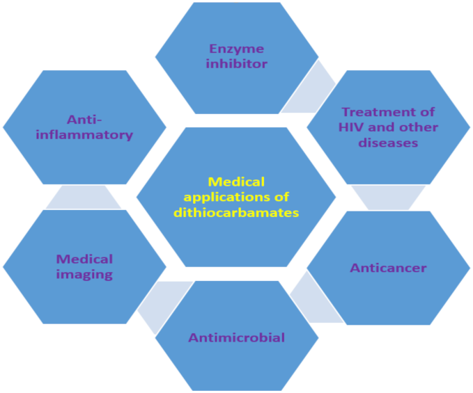 Ijms 23 01317 g008 Ijms 23 01317 g008