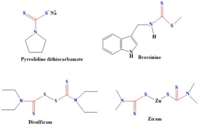 Ijms 23 01317 g009 Ijms 23 01317 g009