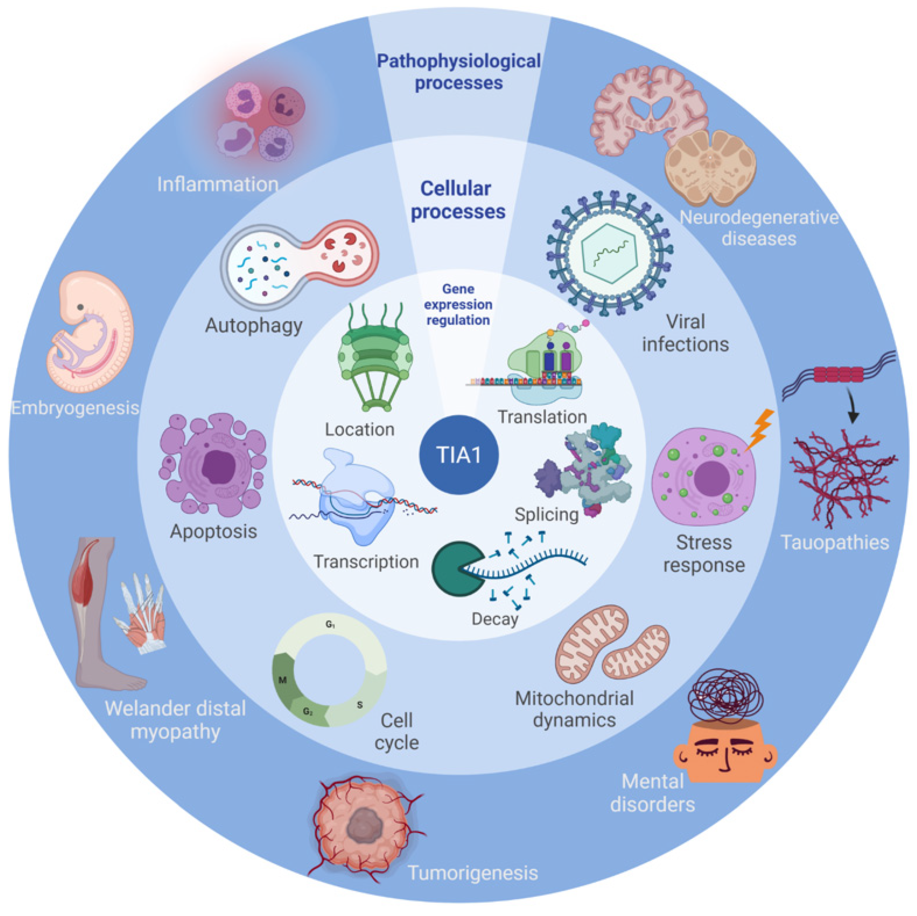 Ijms 23 01400 g005 Ijms 23 01400 g005