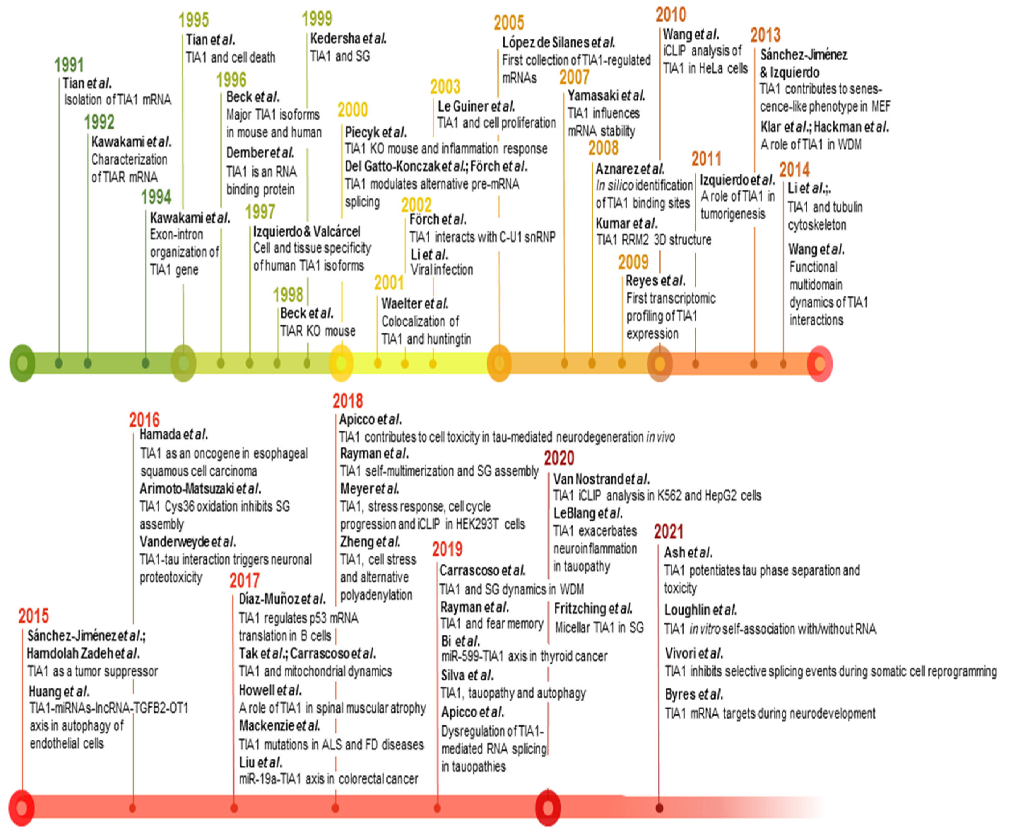 Ijms 23 01400 g006 Ijms 23 01400 g006