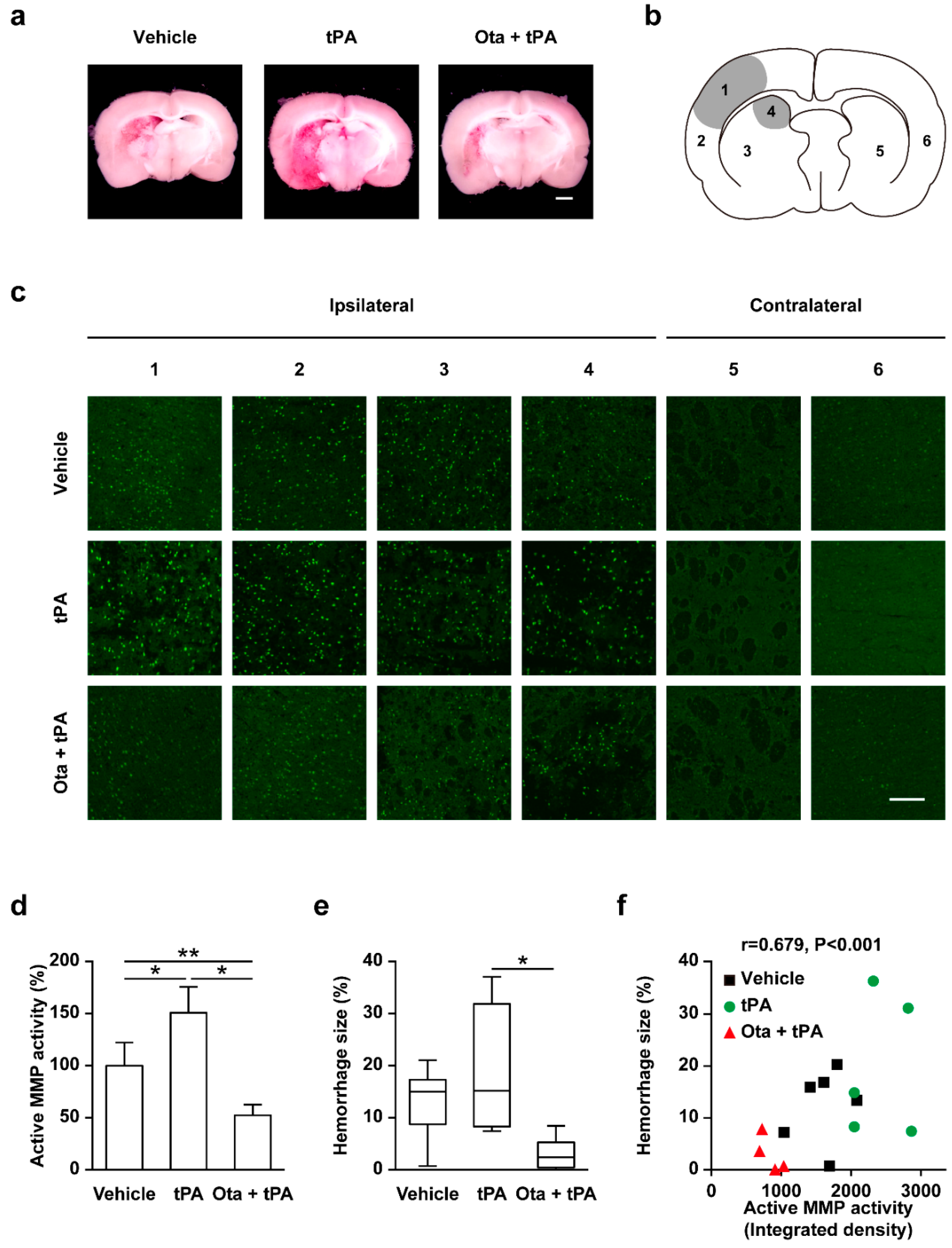 Ijms 23 01403 g002 Ijms 23 01403 g002