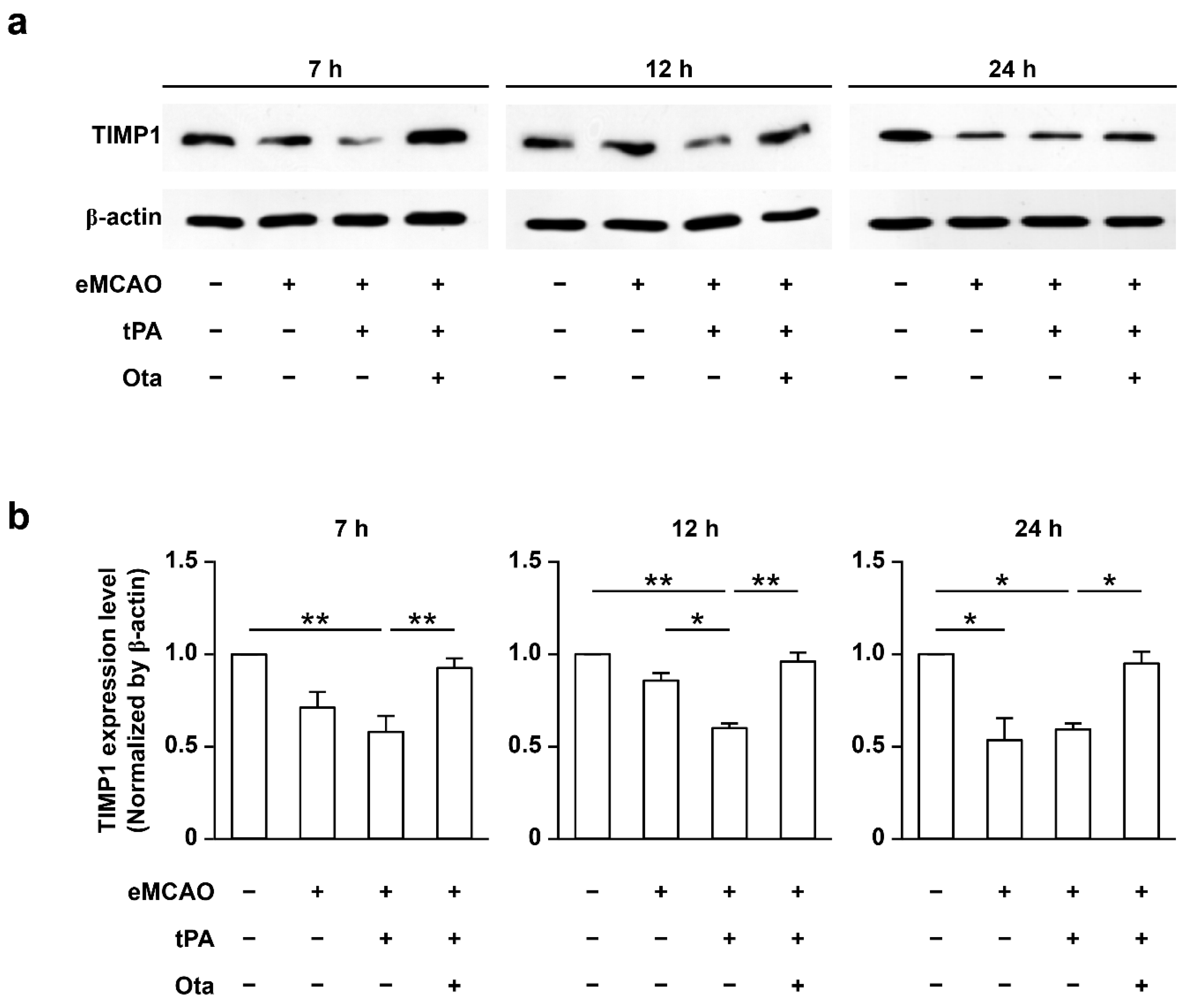 Ijms 23 01403 g004 Ijms 23 01403 g004