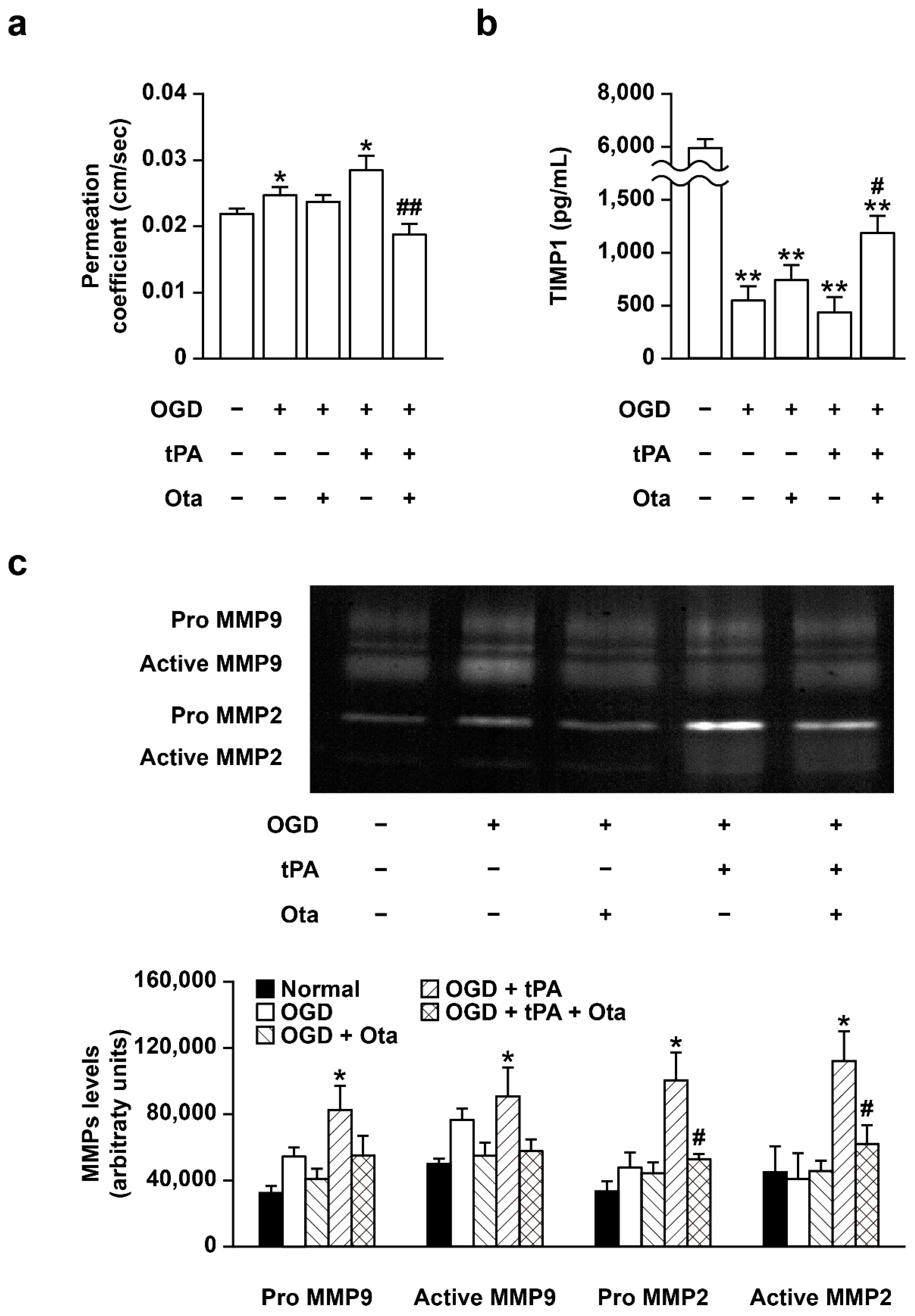 Ijms 23 01403 g005 Ijms 23 01403 g005
