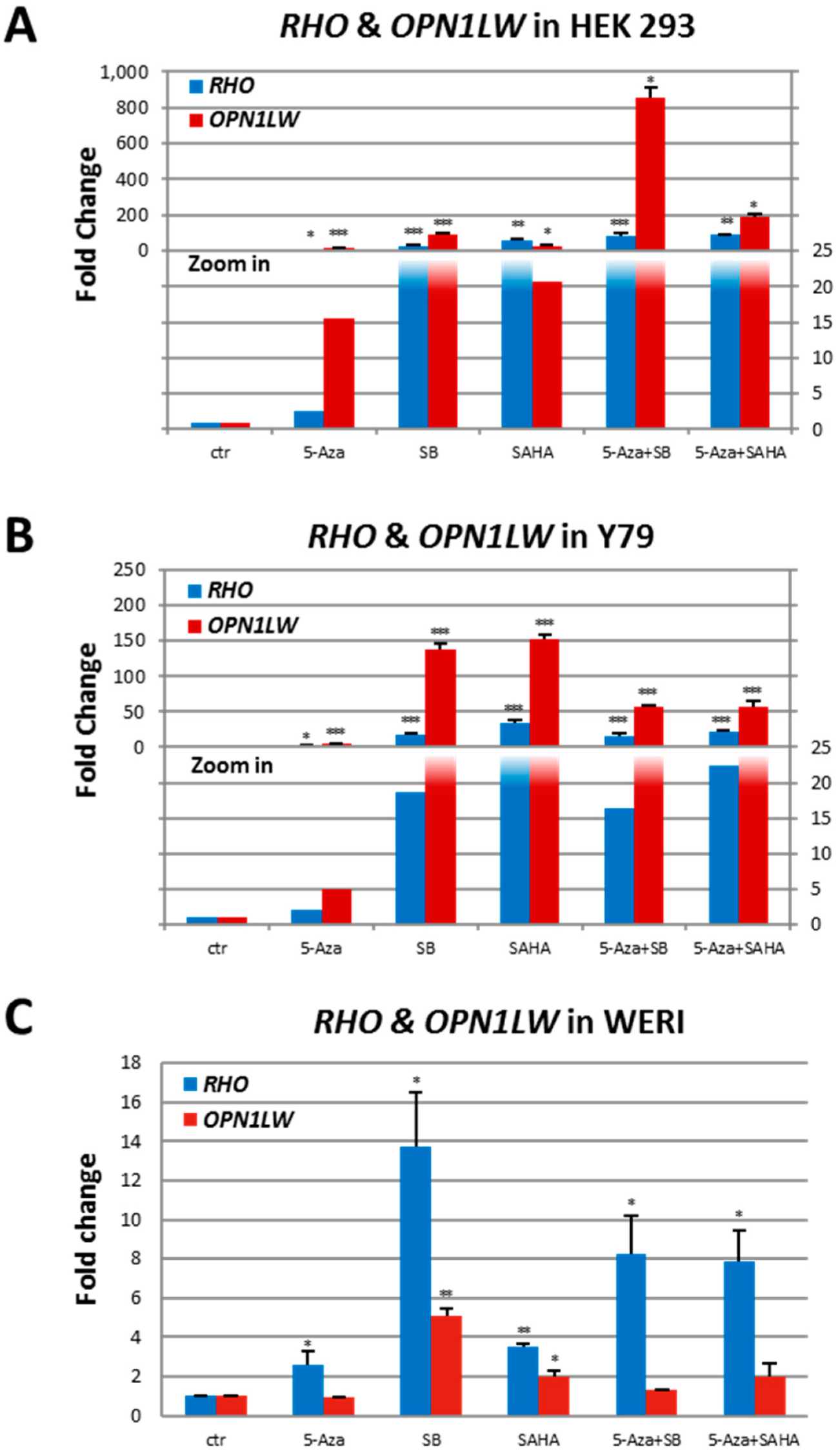 Ijms 23 01408 g003 Ijms 23 01408 g003