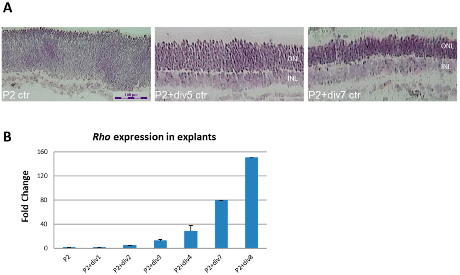Ijms 23 01408 g004 Ijms 23 01408 g004