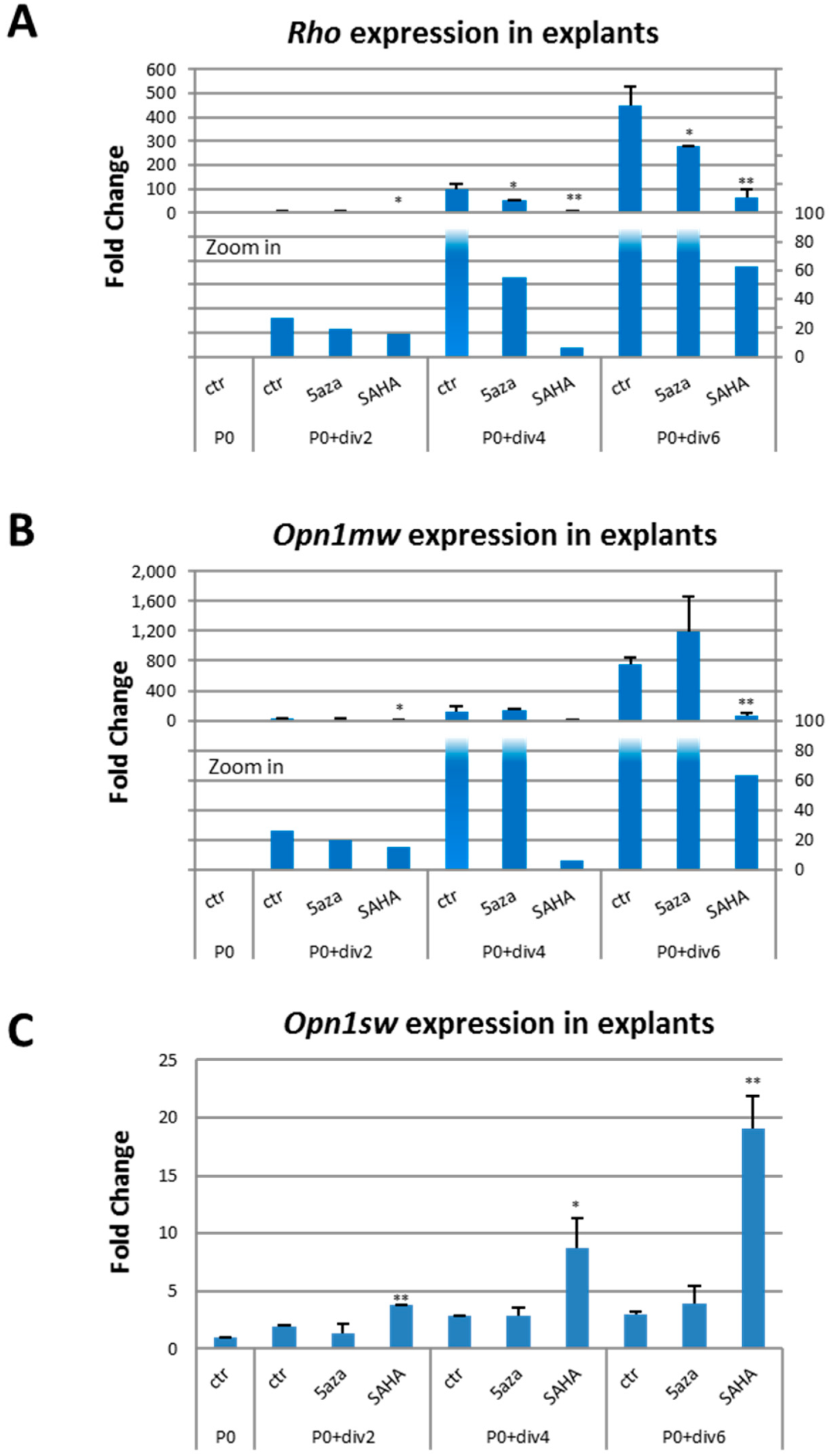 Ijms 23 01408 g007 Ijms 23 01408 g007