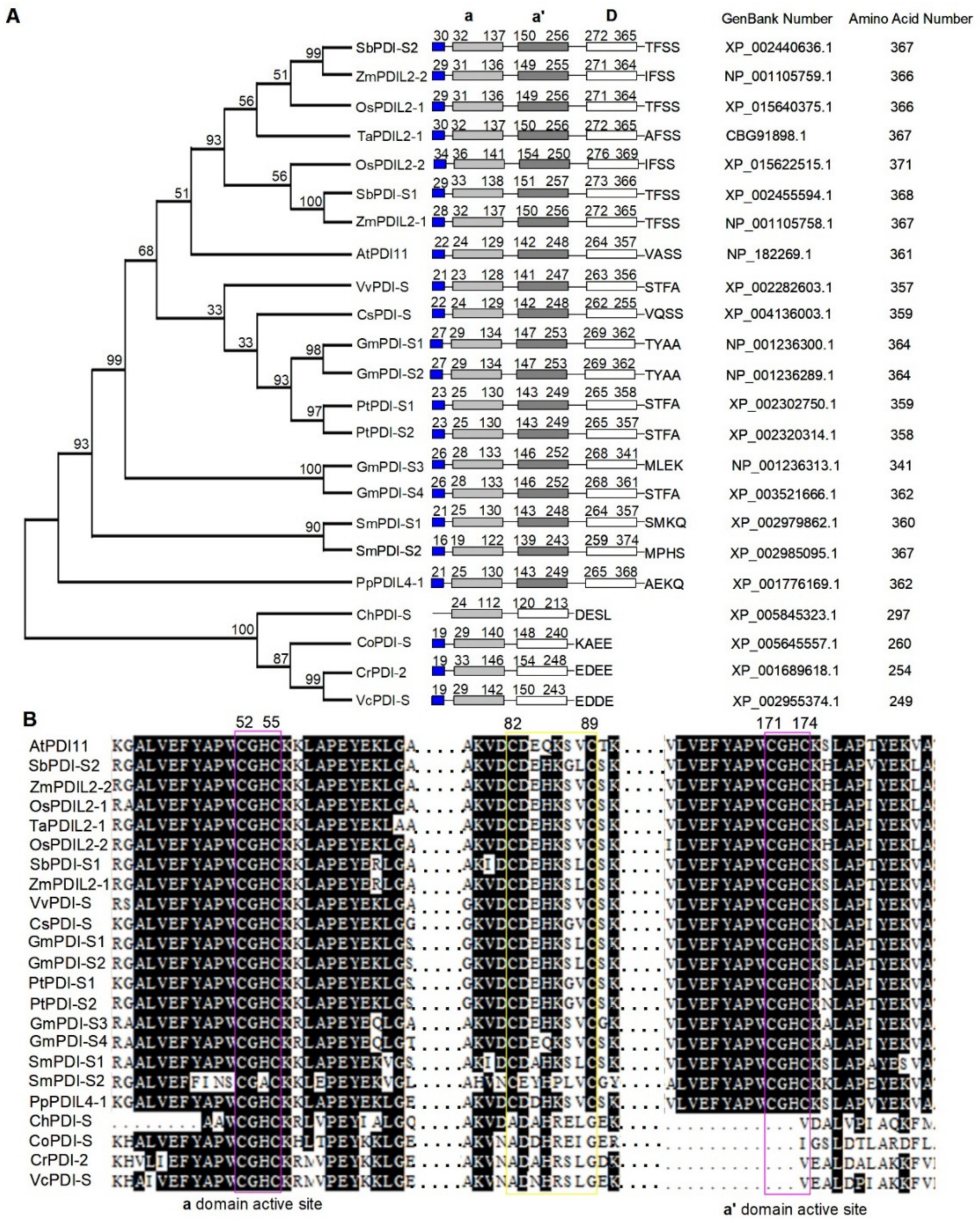 Ijms 23 01409 g001 Ijms 23 01409 g001