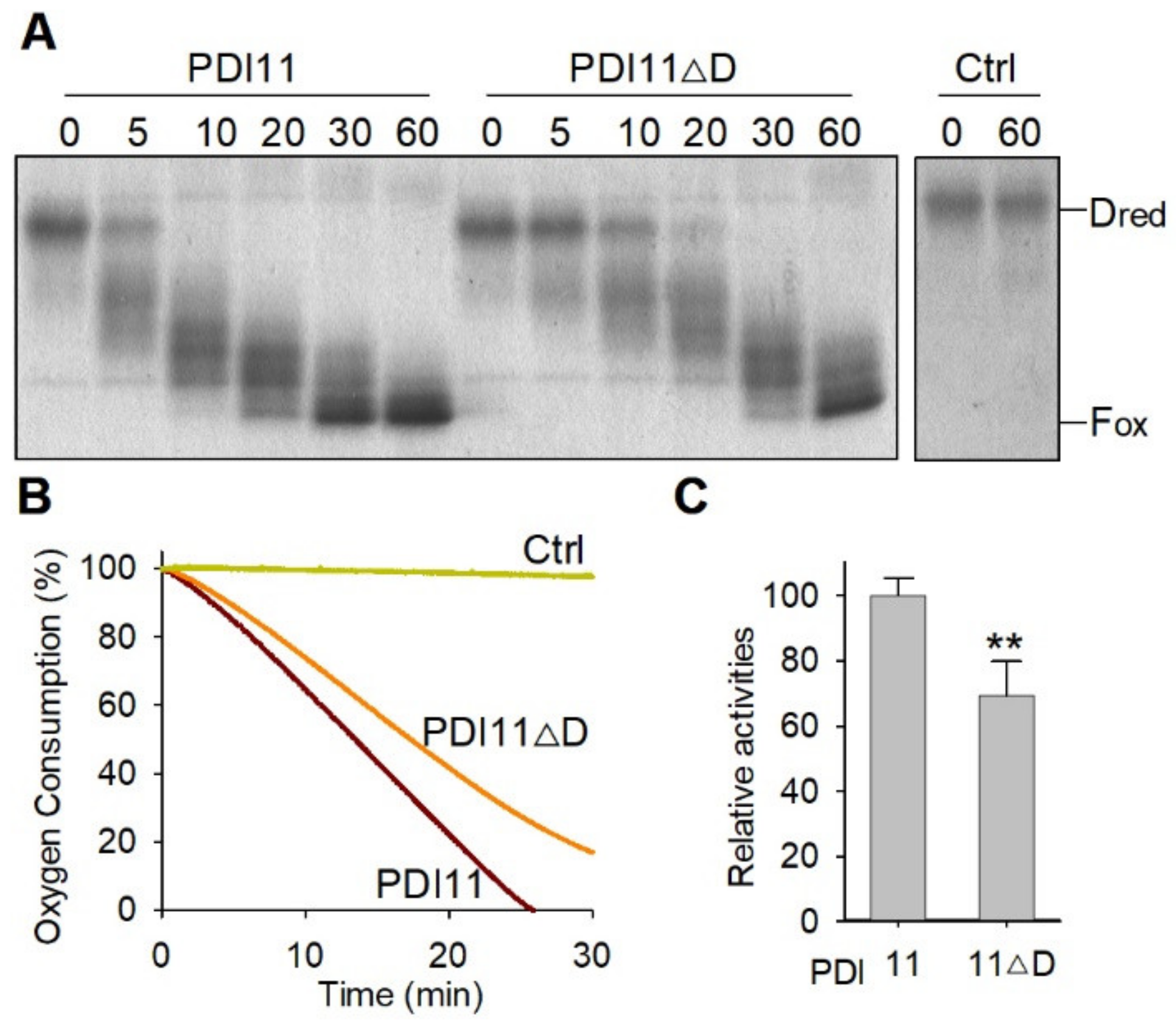 Ijms 23 01409 g006 Ijms 23 01409 g006