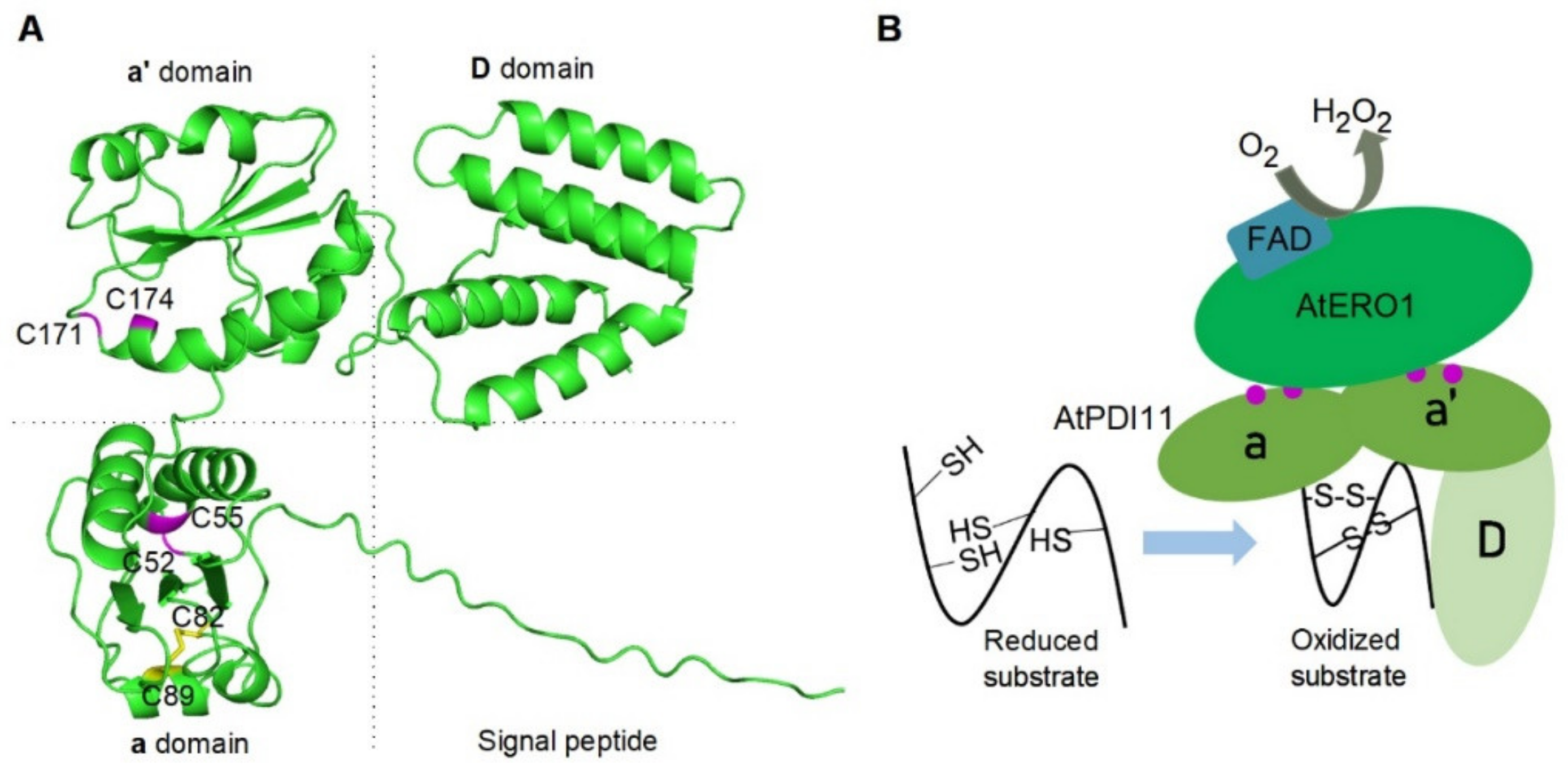 Ijms 23 01409 g008 Ijms 23 01409 g008