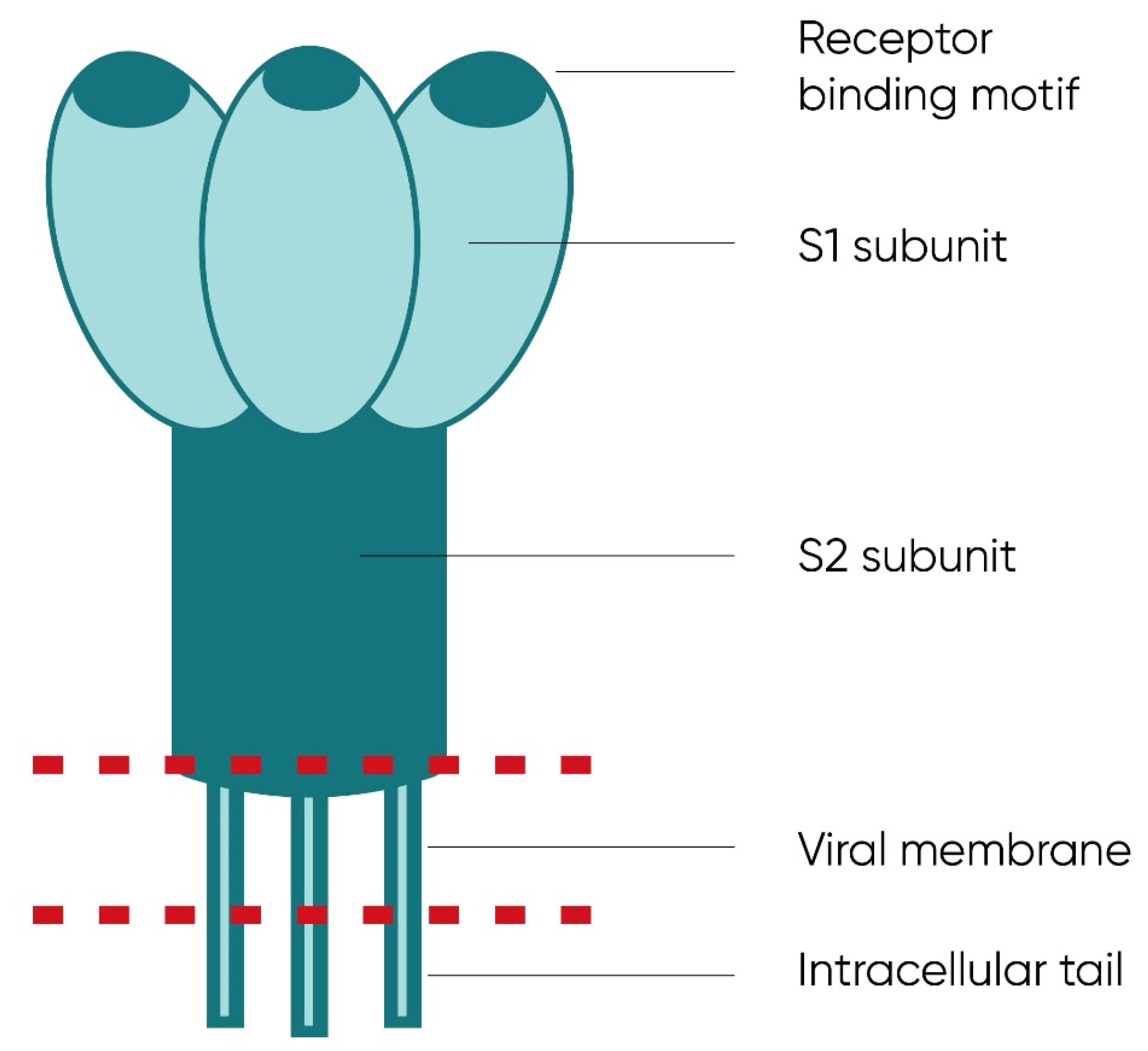 Ijms 23 01412 g003