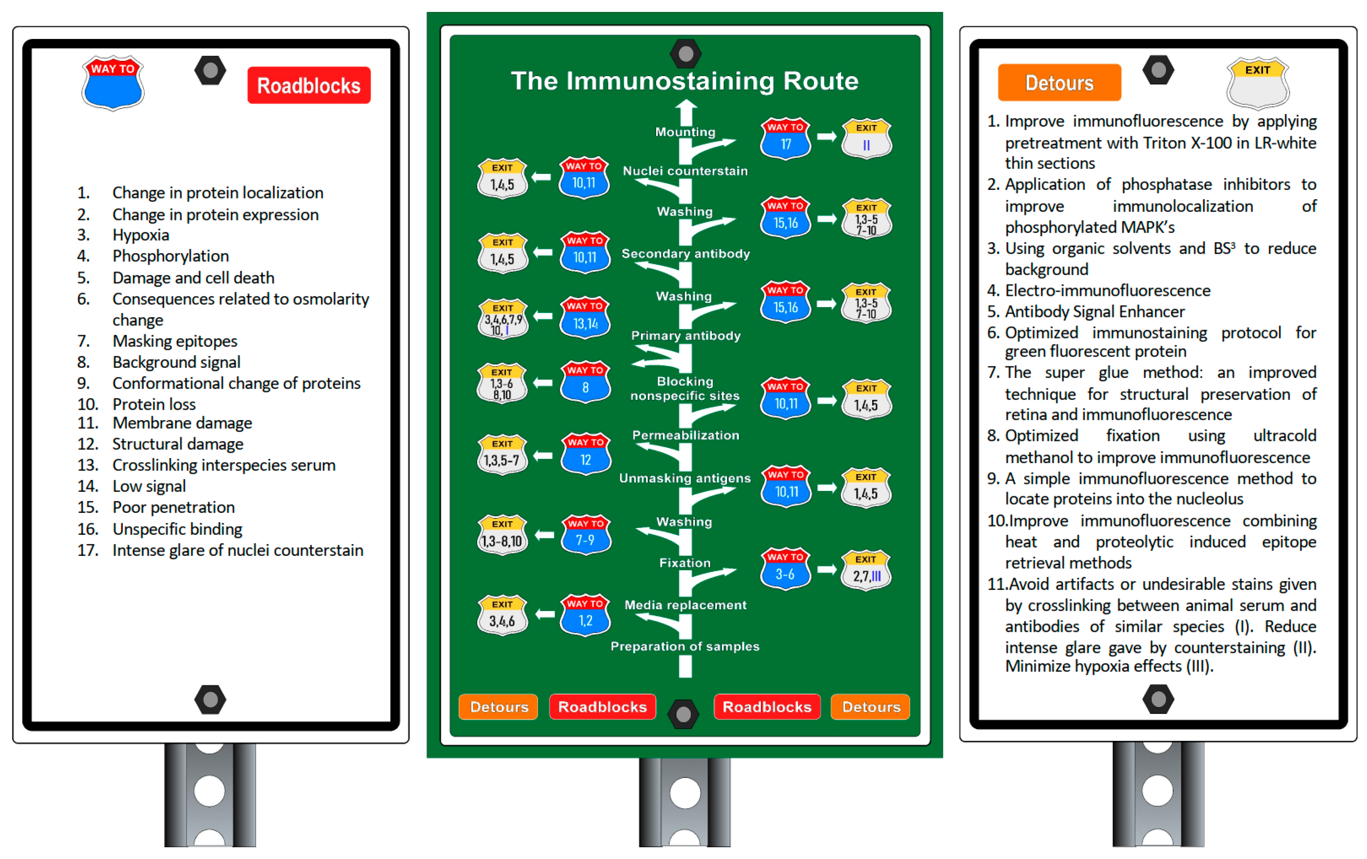 Ijms 23 01426 g001 Ijms 23 01426 g001