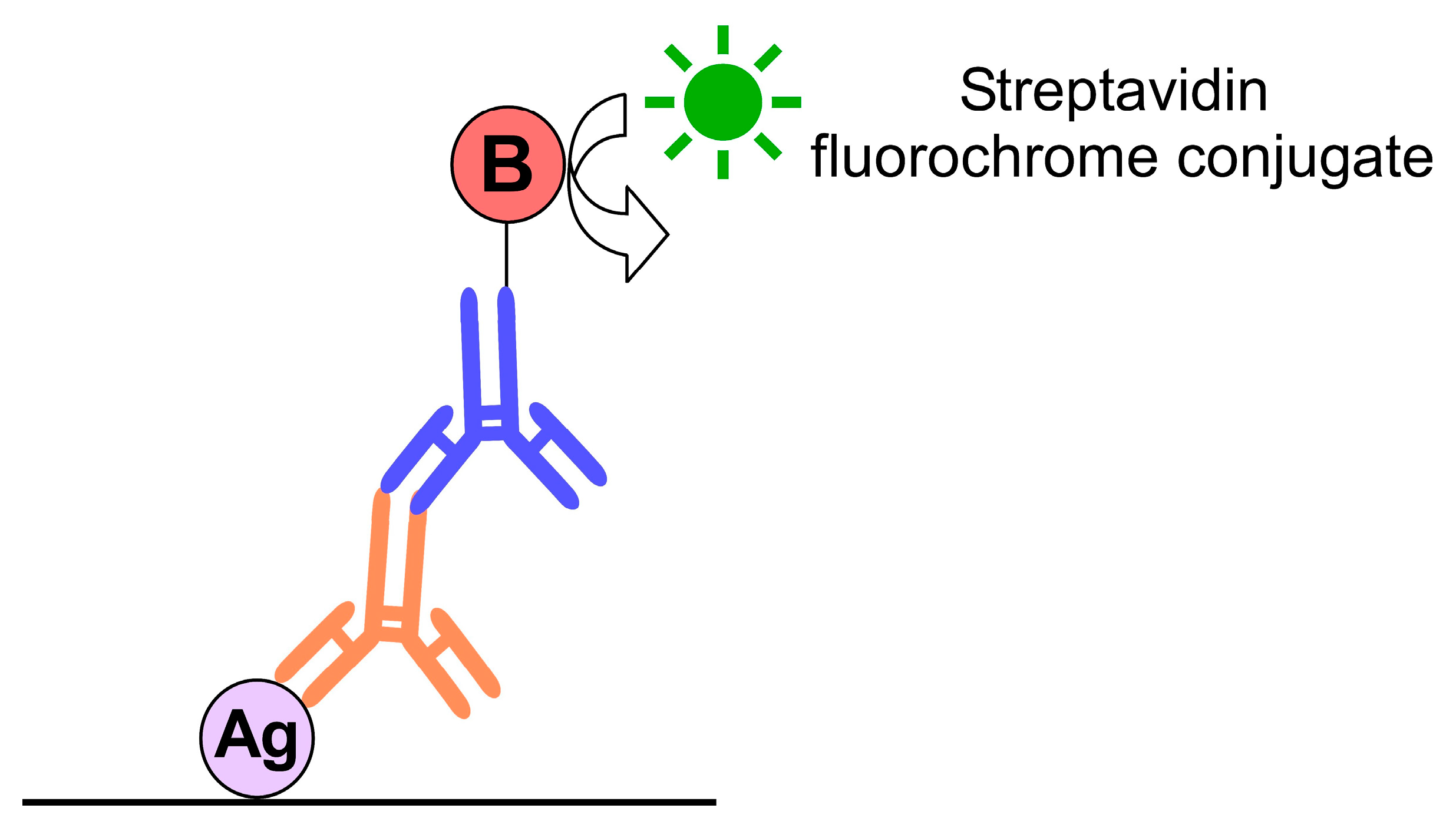 Ijms 23 01426 g002 Ijms 23 01426 g002