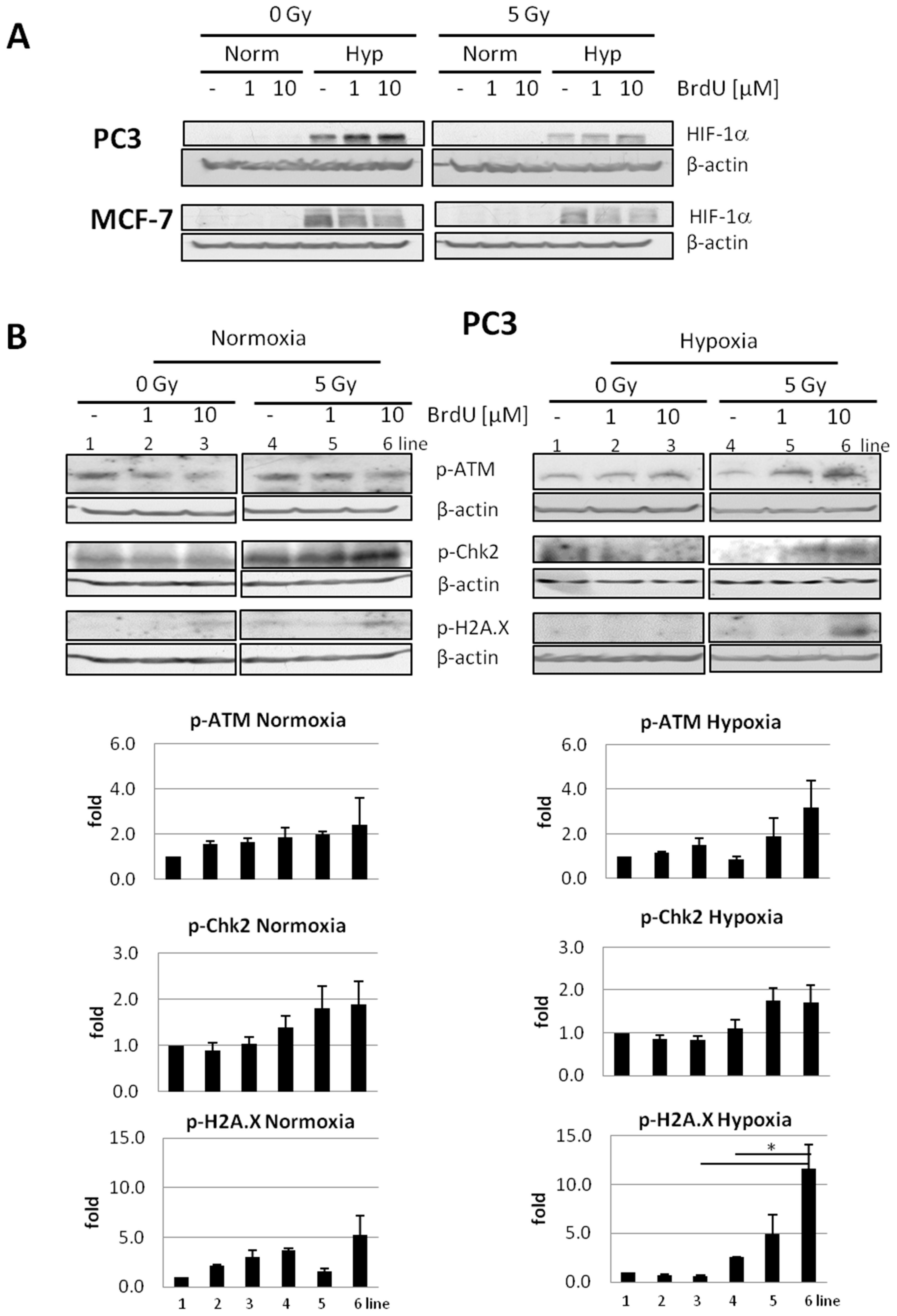 Ijms 23 01429 g005a