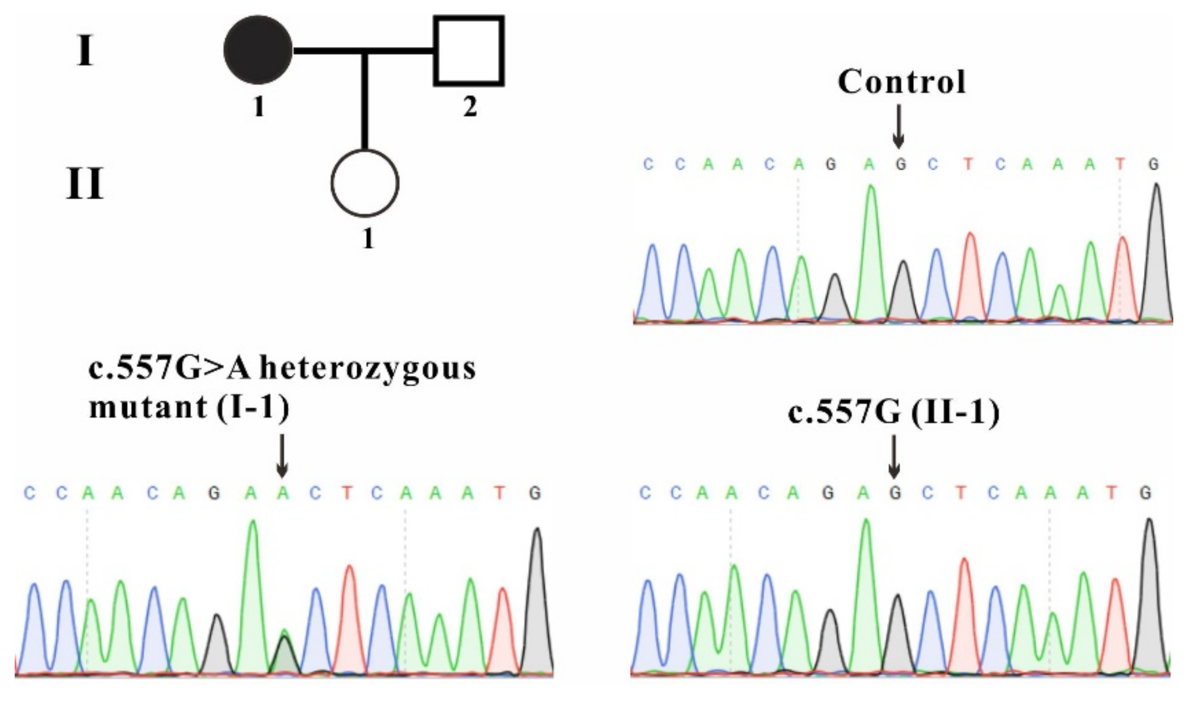 Ijms 23 01452 g001 Ijms 23 01452 g001