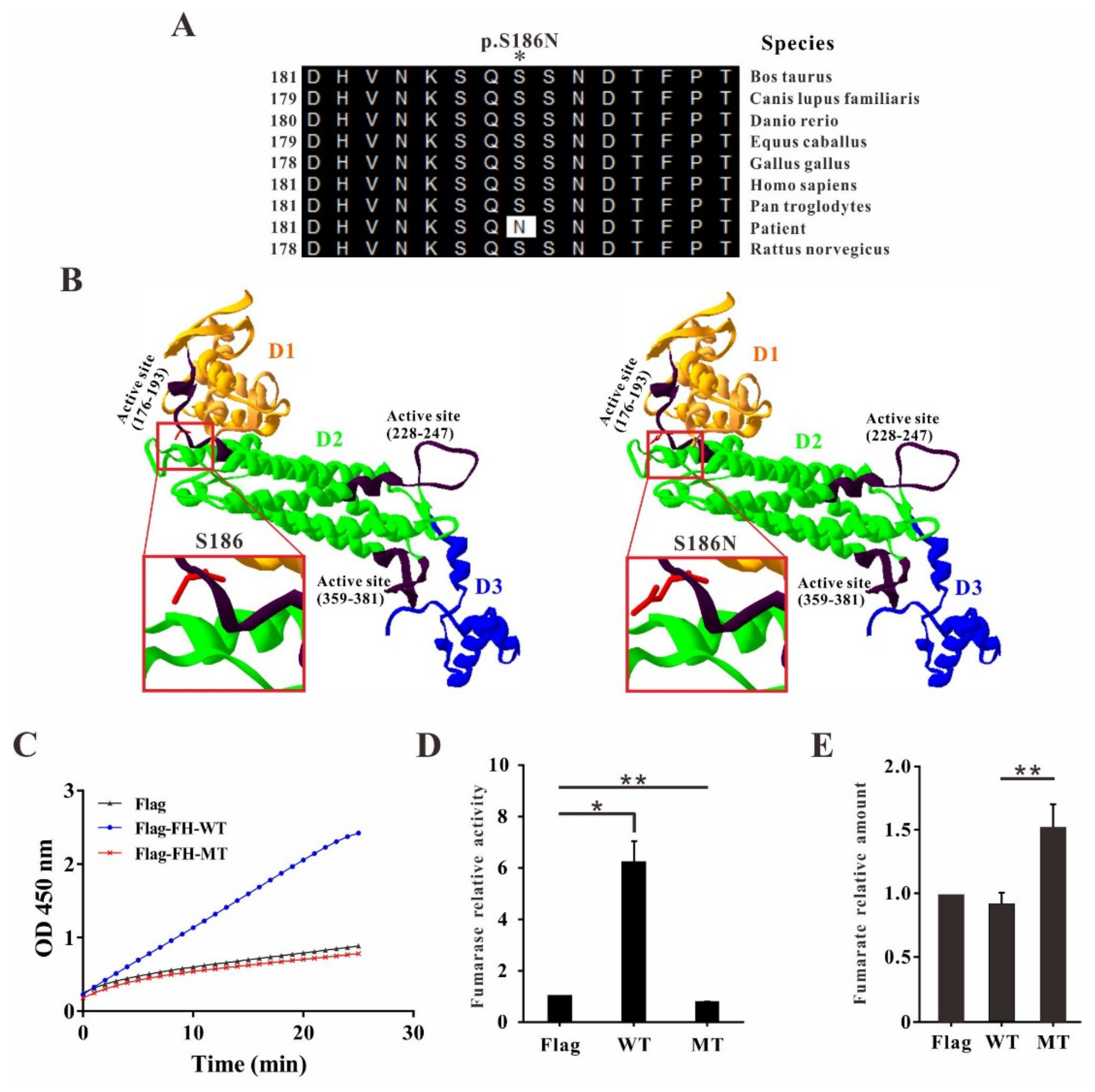 Ijms 23 01452 g002 Ijms 23 01452 g002