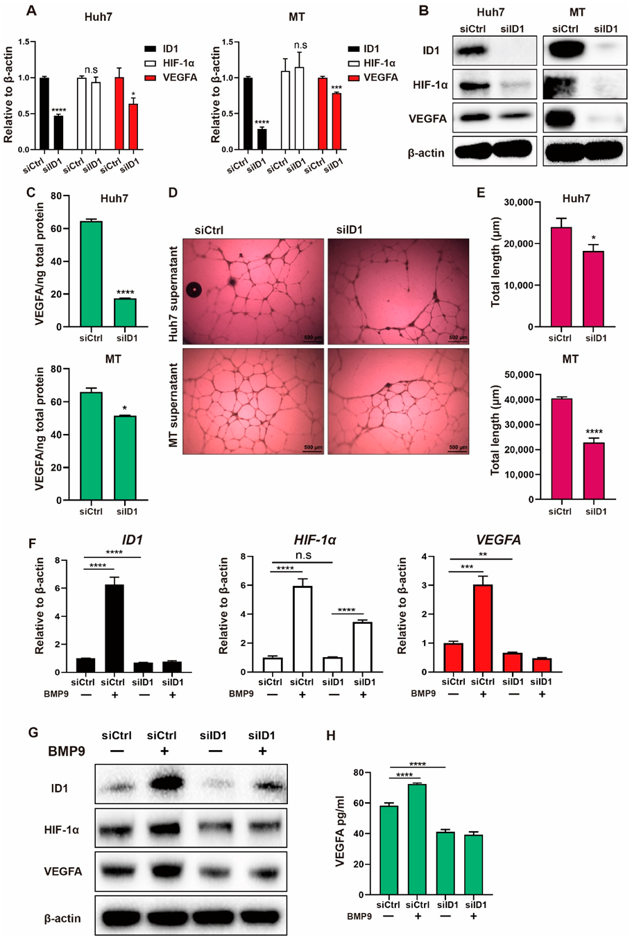 Ijms 23 01475 g004