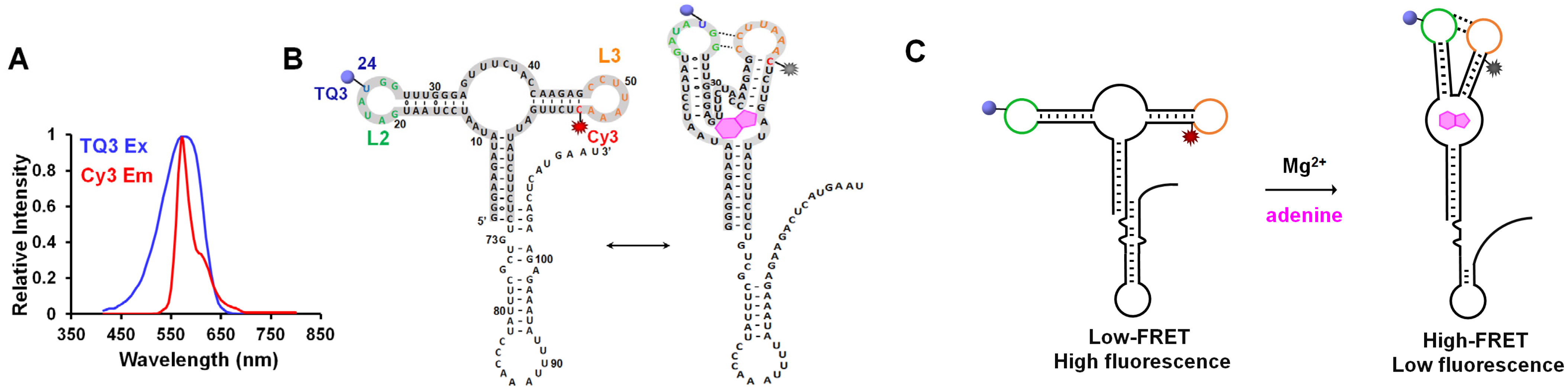 Ijms 23 01493 g001 Ijms 23 01493 g001