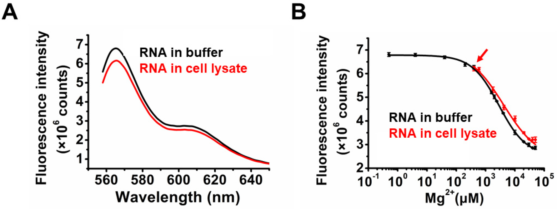 Ijms 23 01493 g005 Ijms 23 01493 g005
