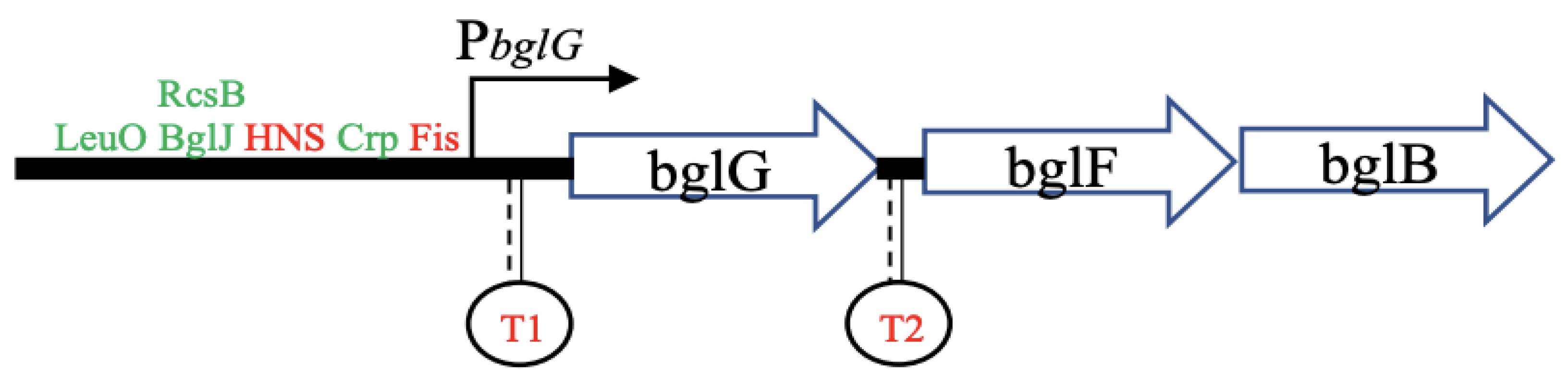 Ijms 23 01505 sch001