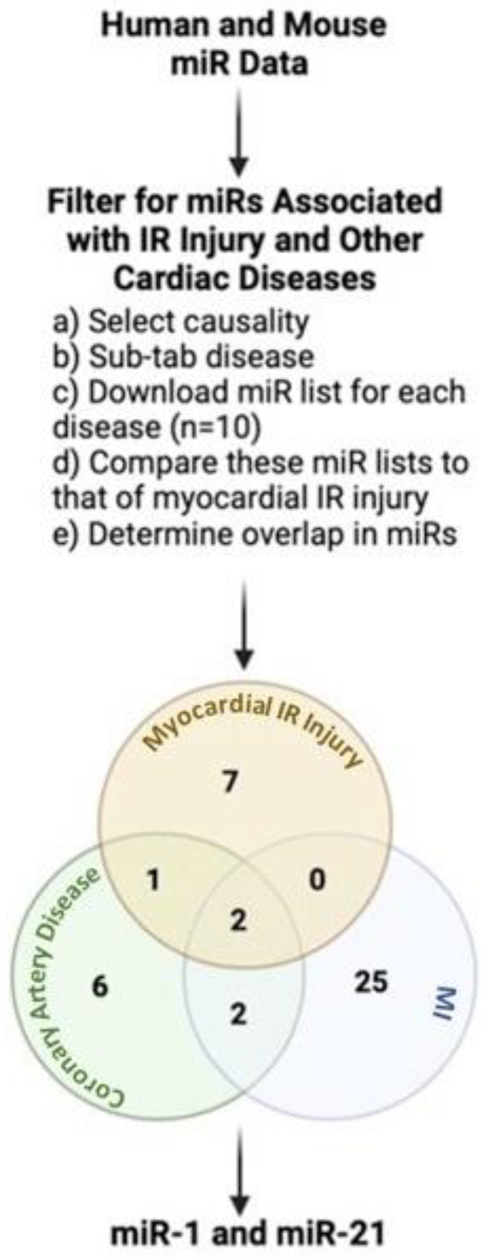 Ijms 23 01512 g001 Ijms 23 01512 g001
