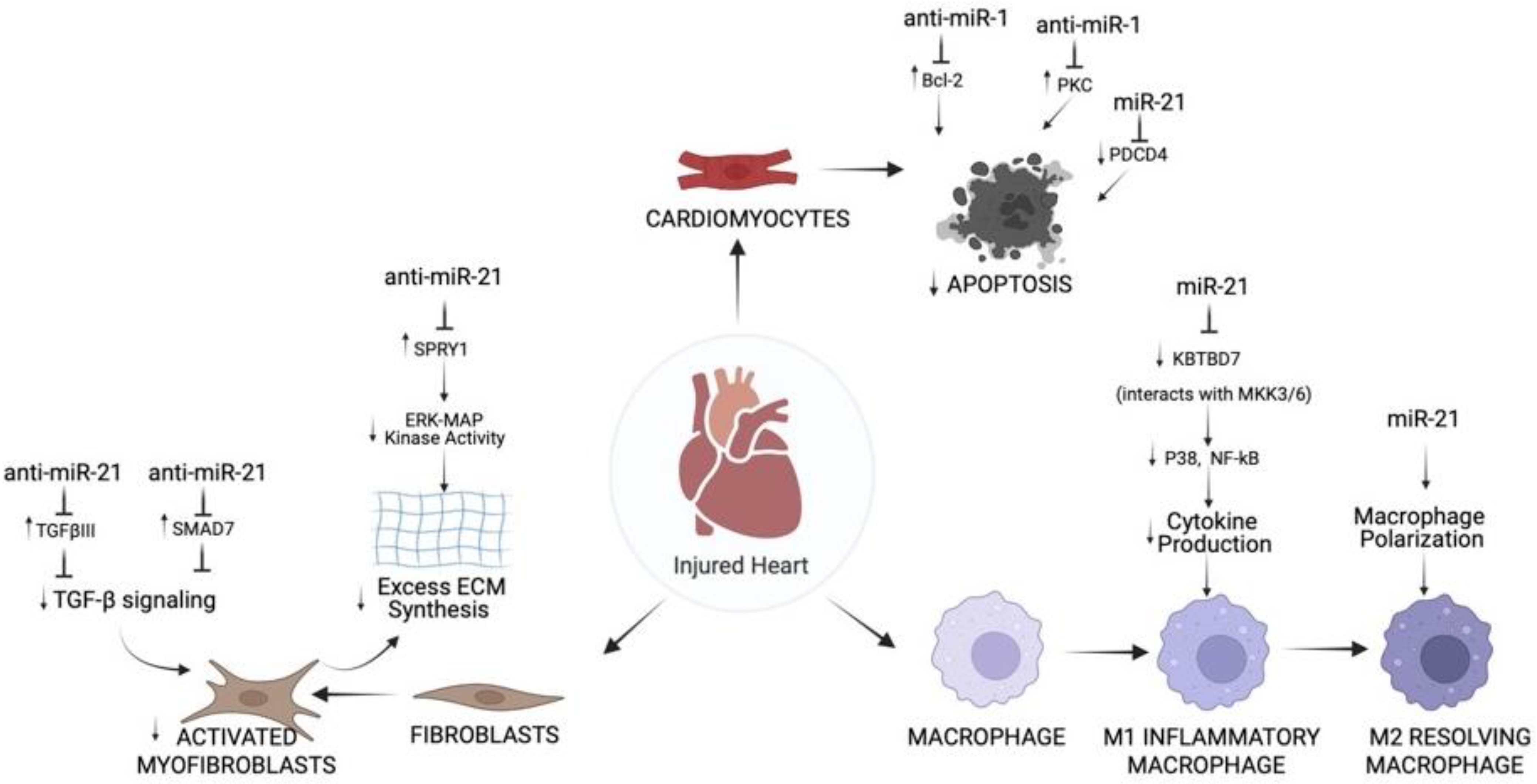 Ijms 23 01512 g002 Ijms 23 01512 g002