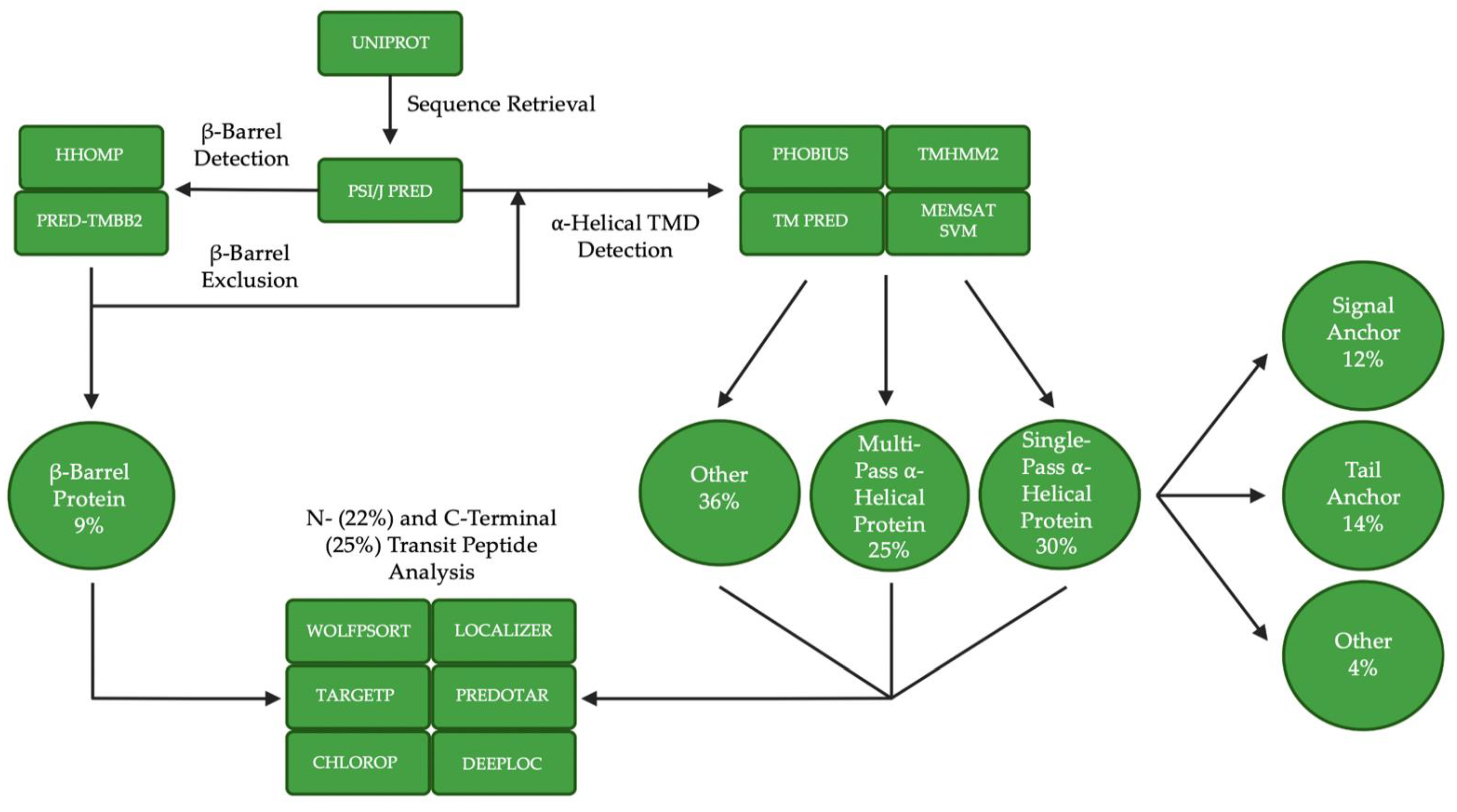 Ijms 23 01571 g003 Ijms 23 01571 g003