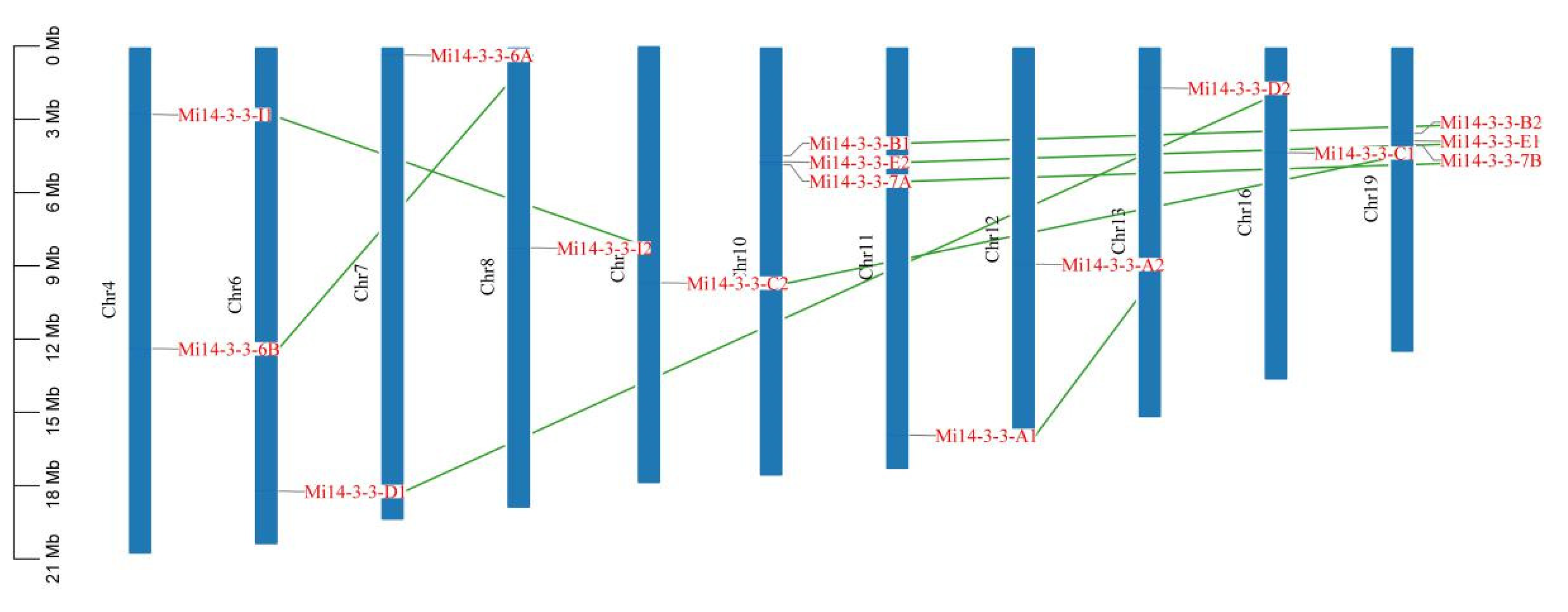 Ijms 23 01593 g004 Ijms 23 01593 g004