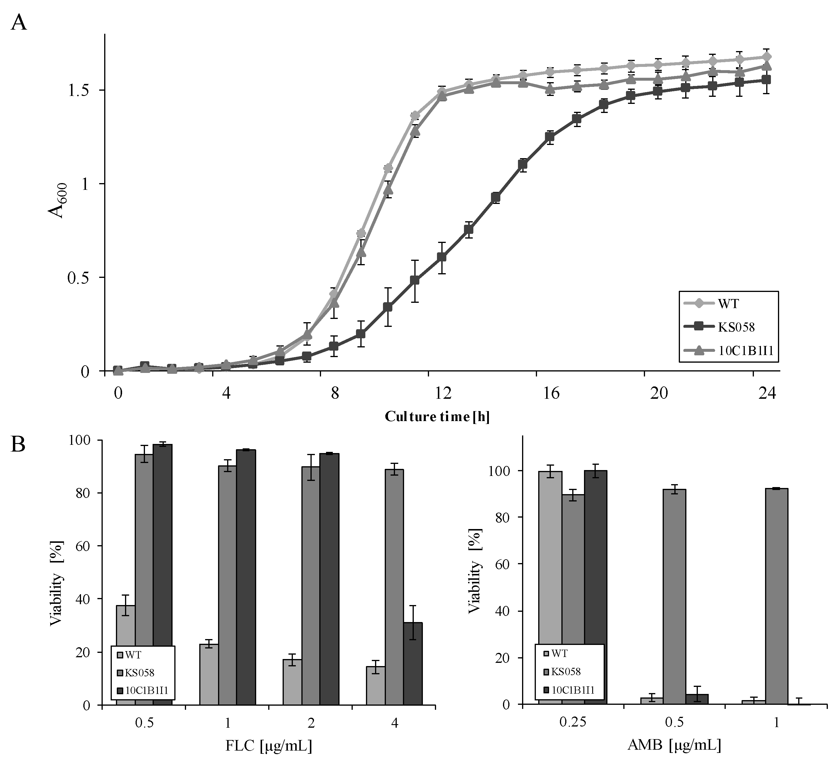 Ijms 23 01631 g001 Ijms 23 01631 g001