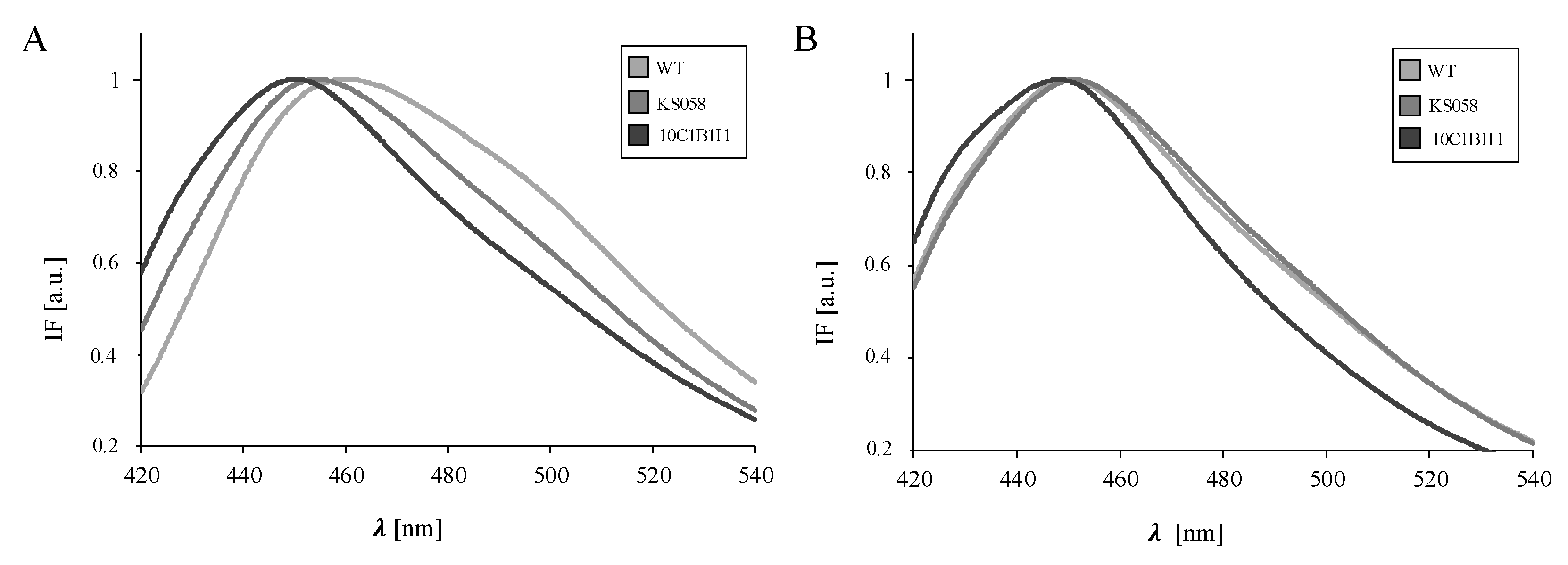 Ijms 23 01631 g003 Ijms 23 01631 g003