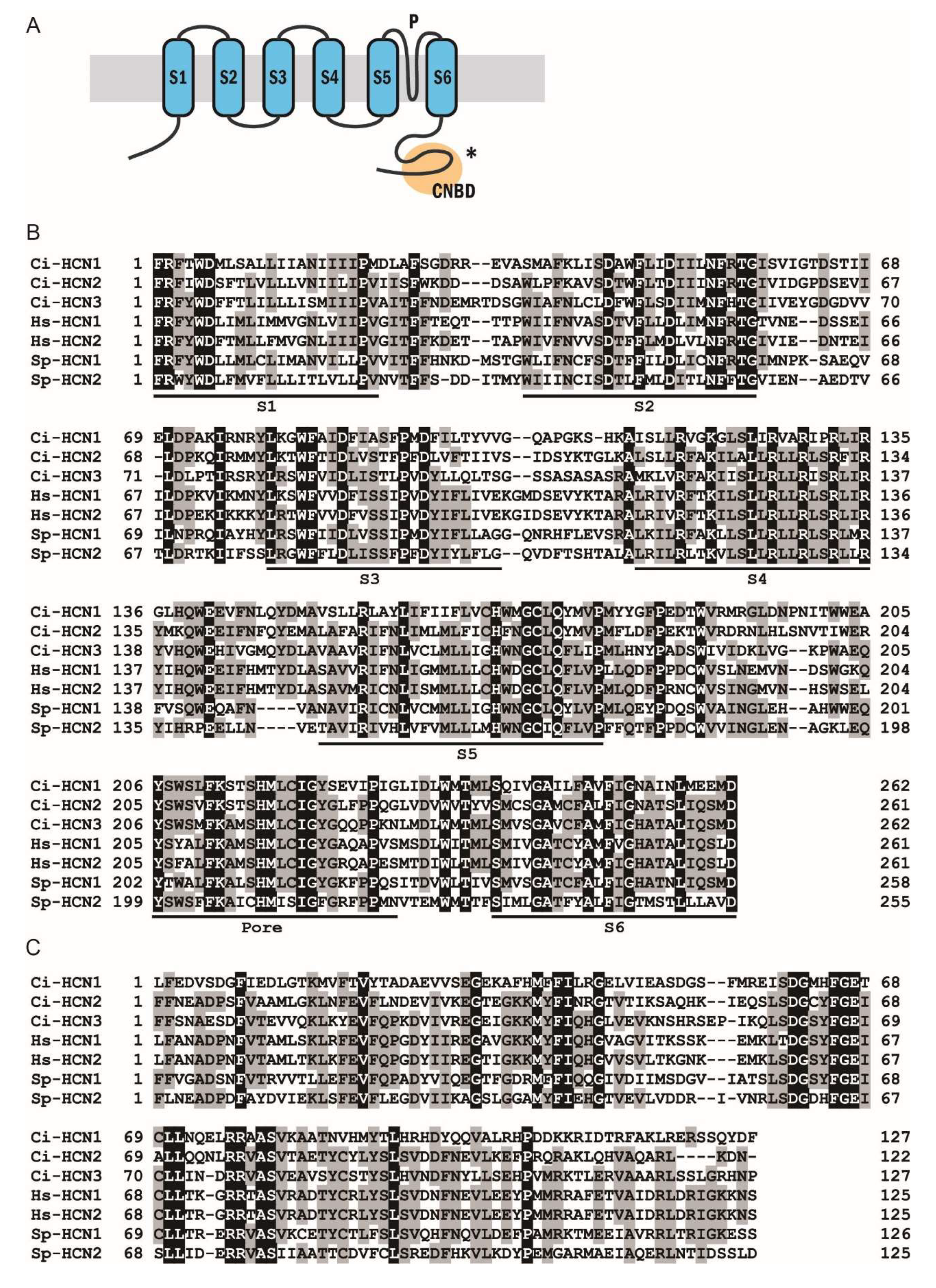 Ijms 23 01648 g003