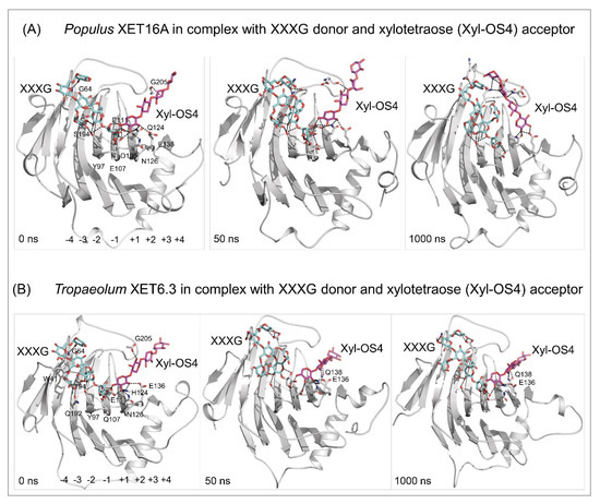 Ijms 23 01656 g005 550