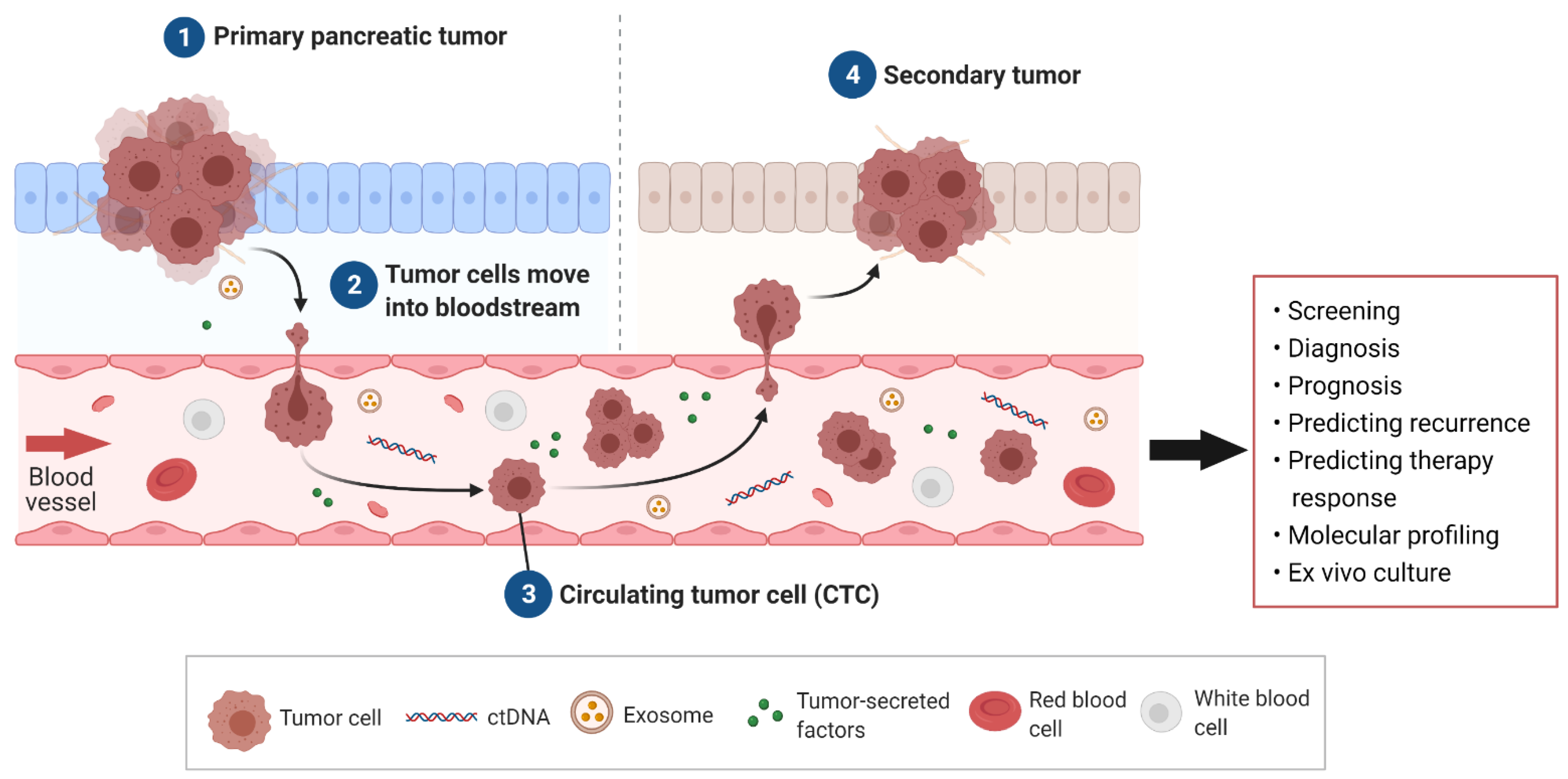 Ijms 23 01671 g001 Ijms 23 01671 g001