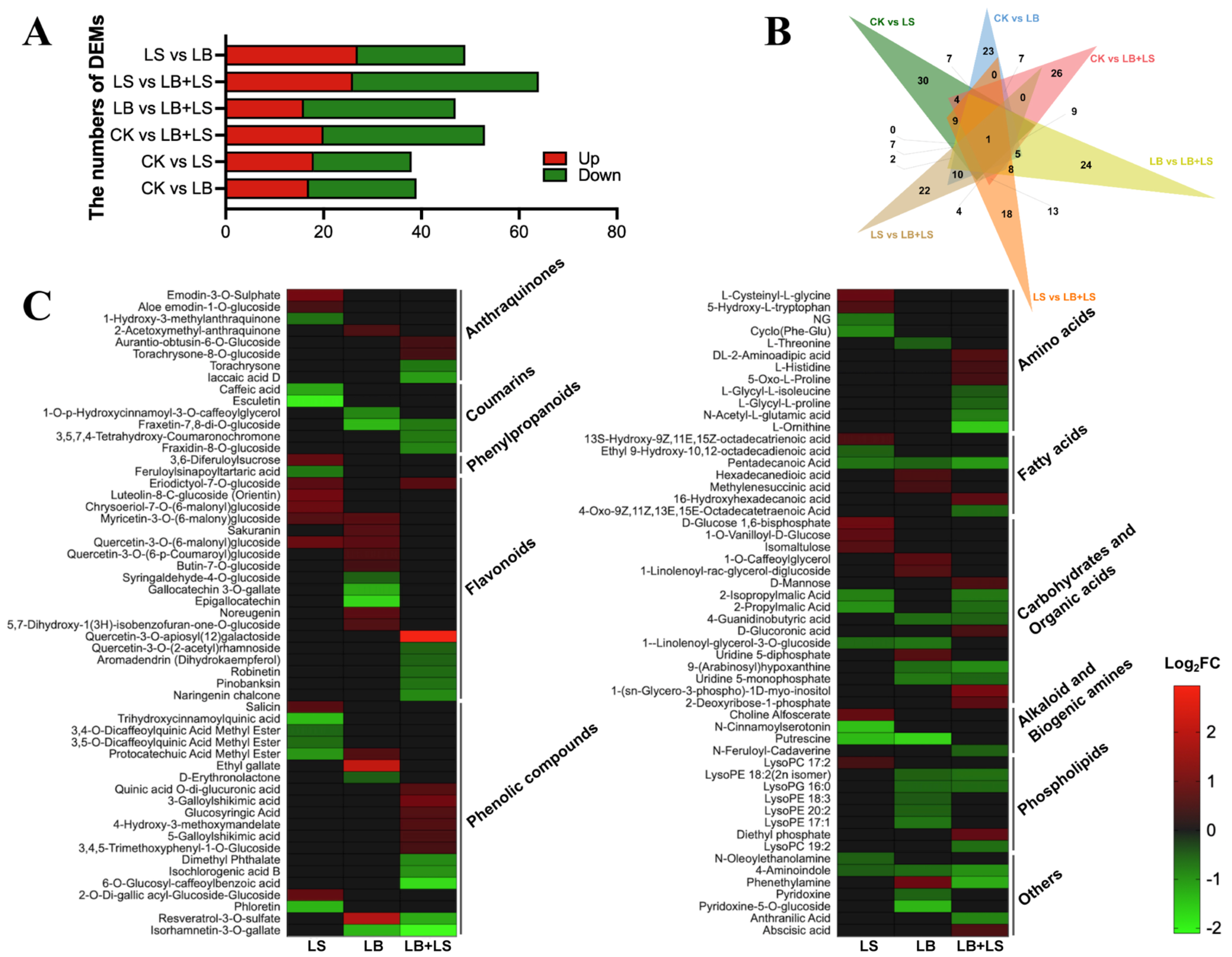 Ijms 23 01694 g004 Ijms 23 01694 g004