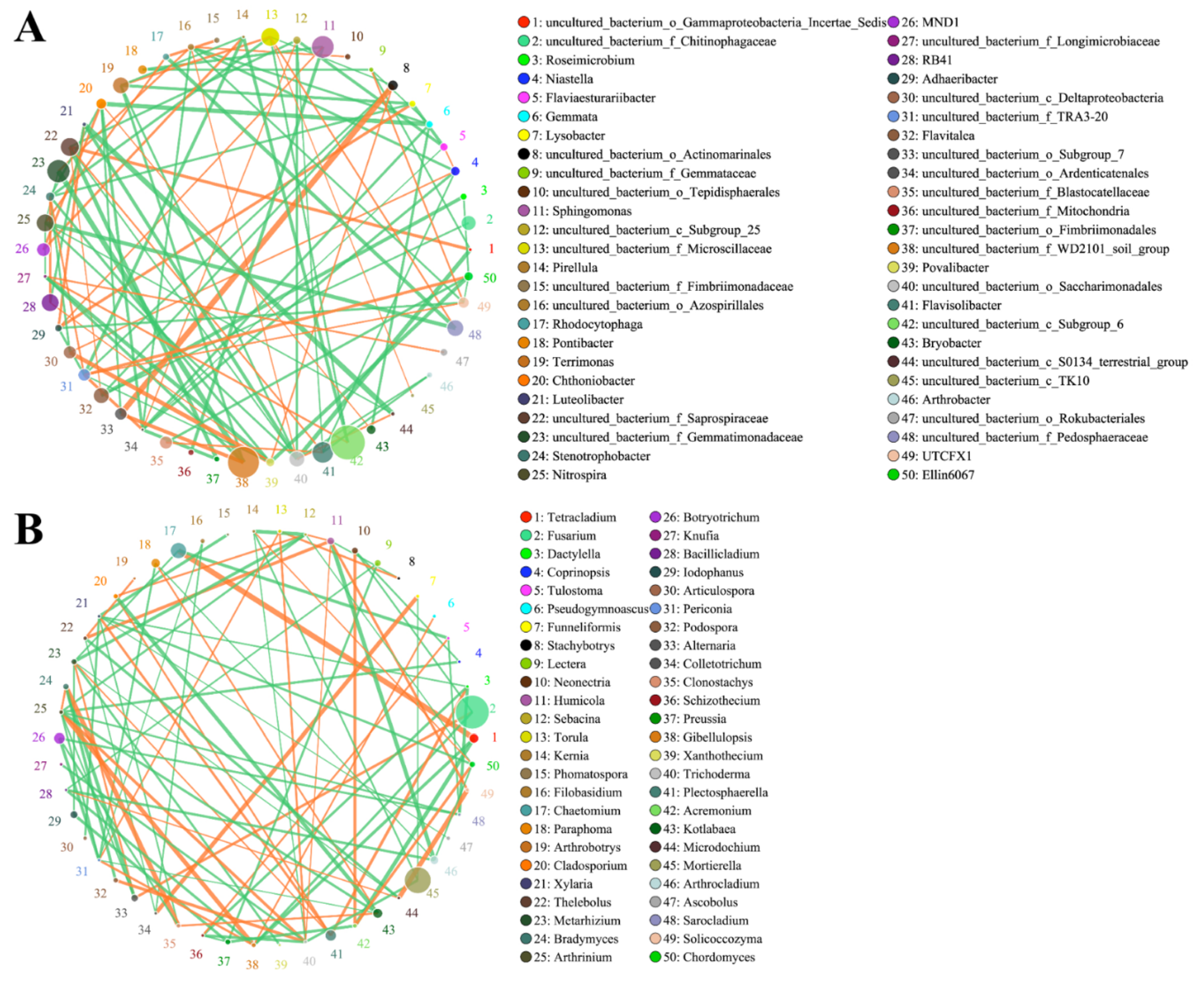 Ijms 23 01694 g009 Ijms 23 01694 g009